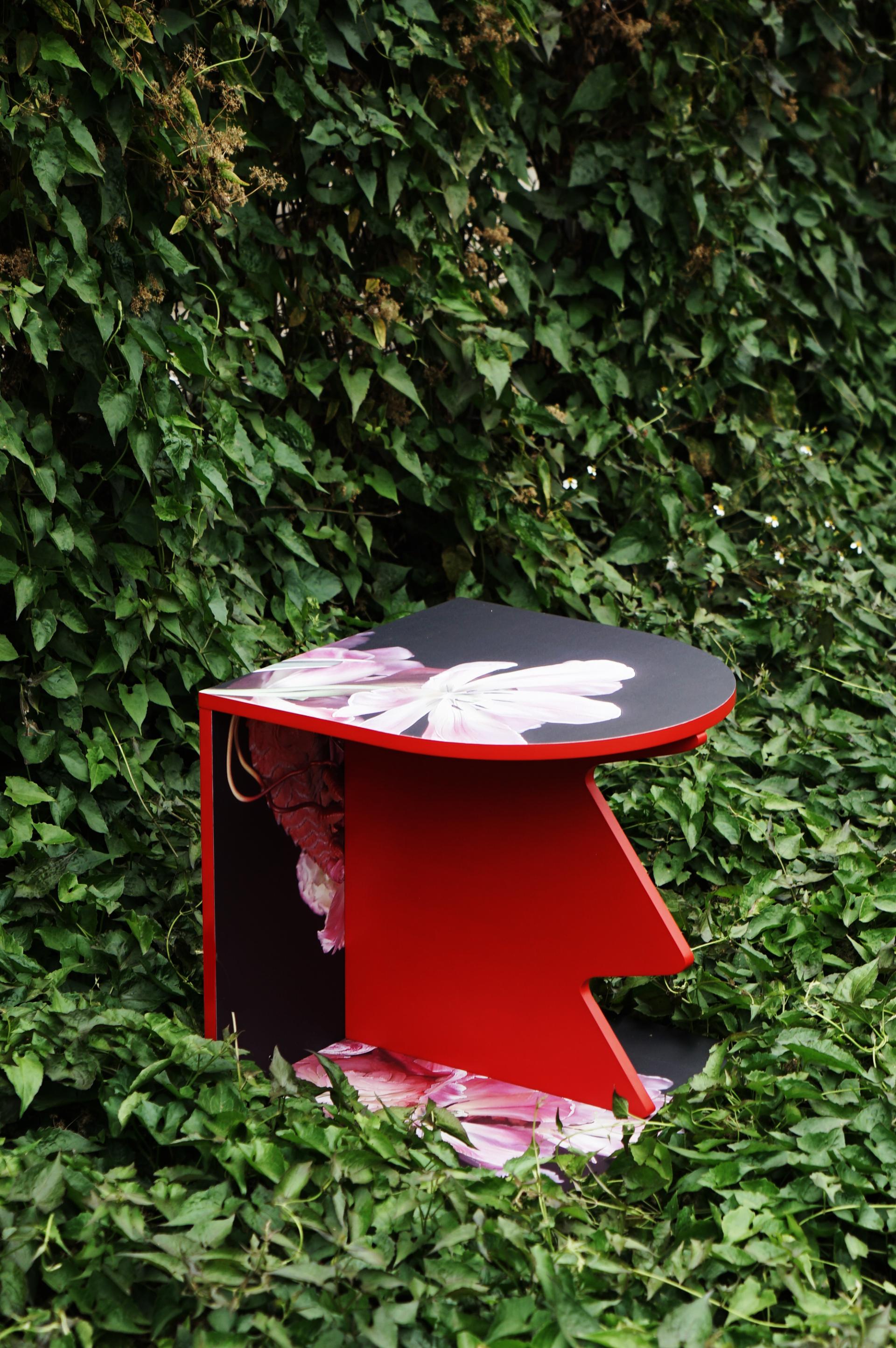 London Design Awards Winner - ARTOX X Nobuyoshi Araki's Assembly Furniture Set