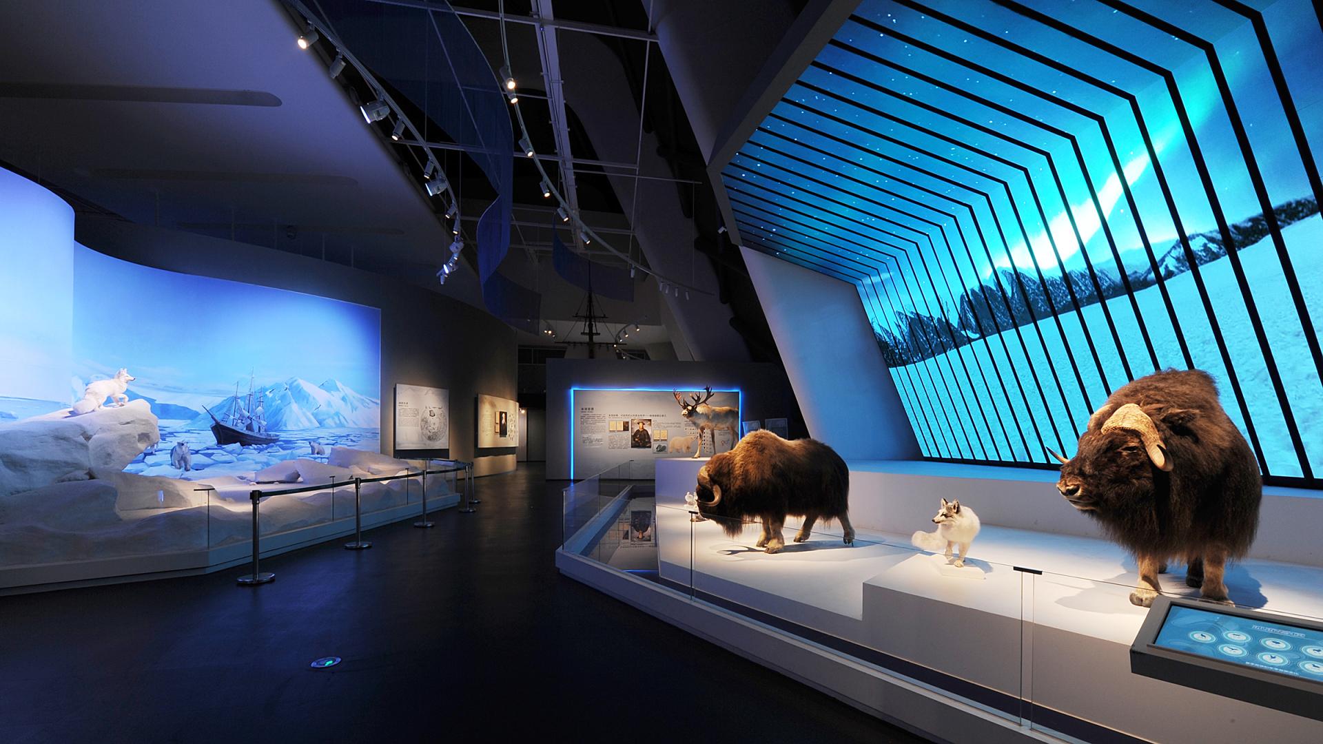 London Design Awards Winner - National Oceanographic Museum