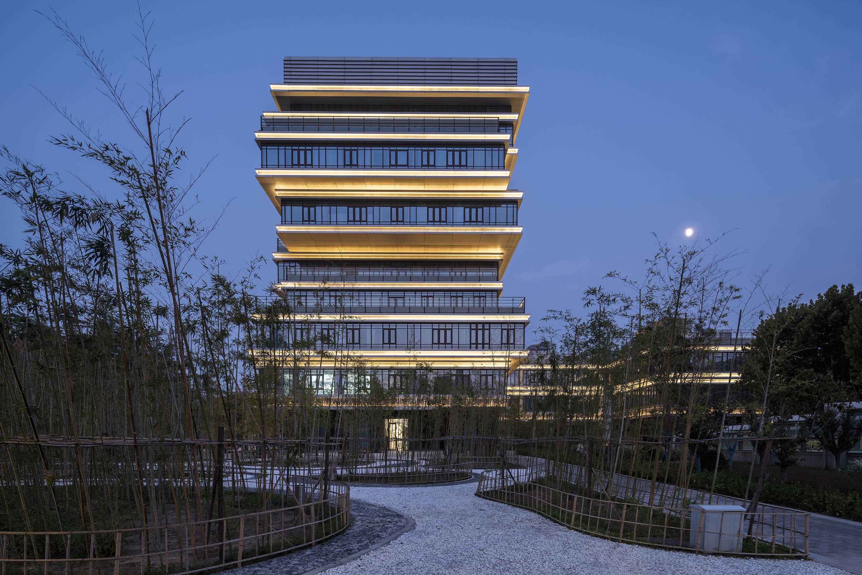 London Design Awards Winner - WEIFANG SENIORS UNIVERSITY