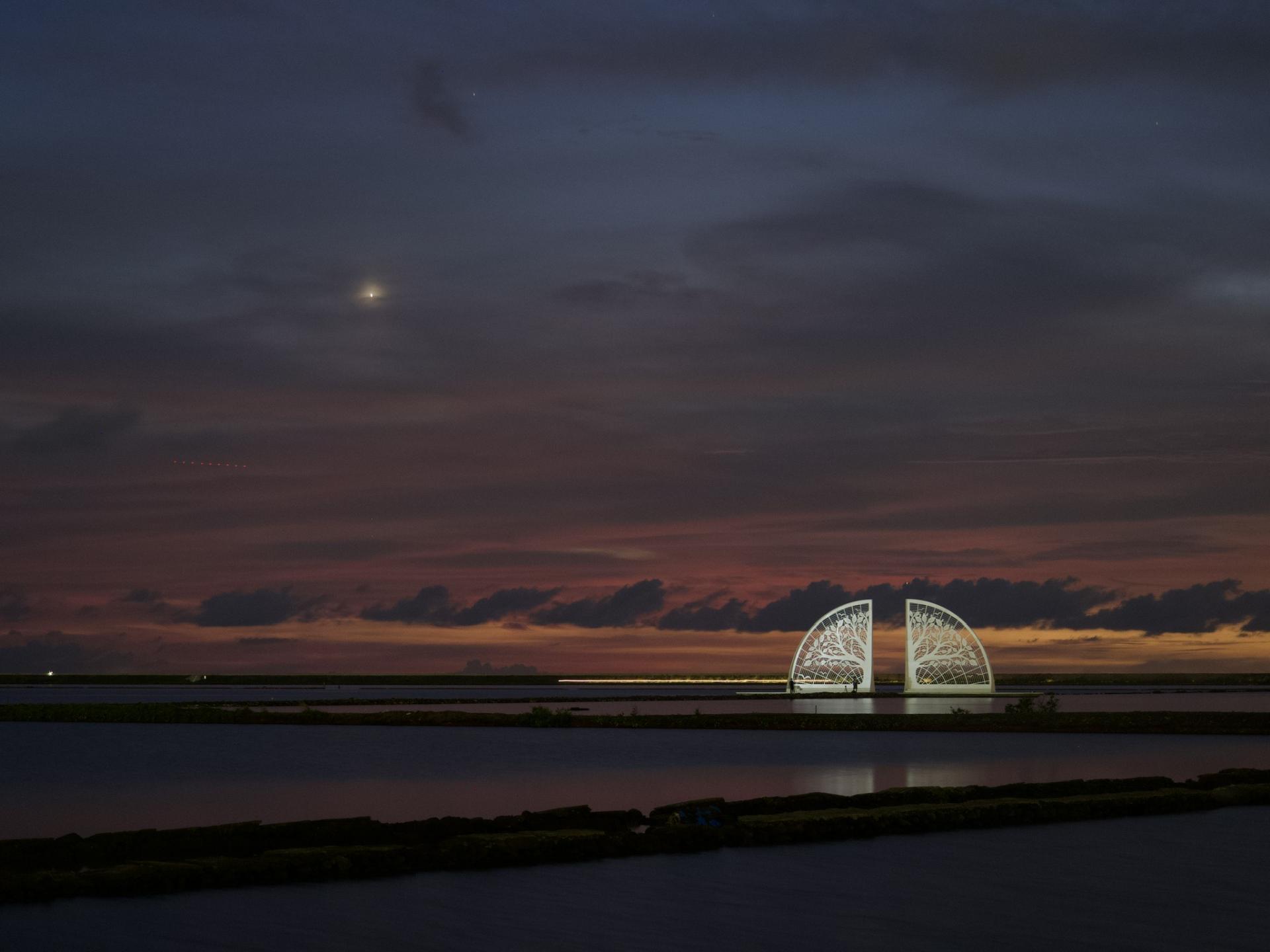 London Design Awards Winner - Fan-shaped Salt Field Tree of Life