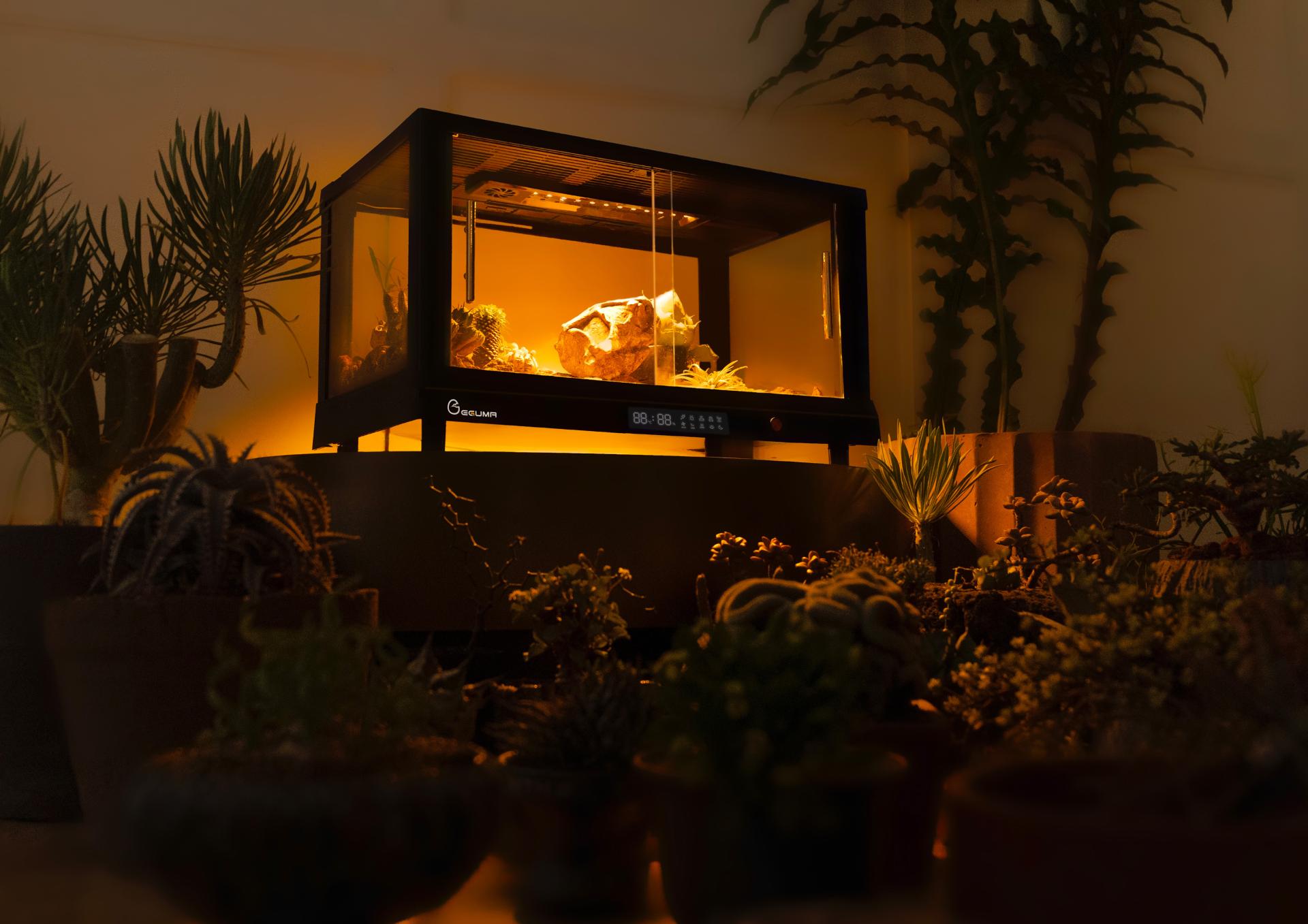 London Design Awards Winner - ALL-IN-ONE Pet Enclosure