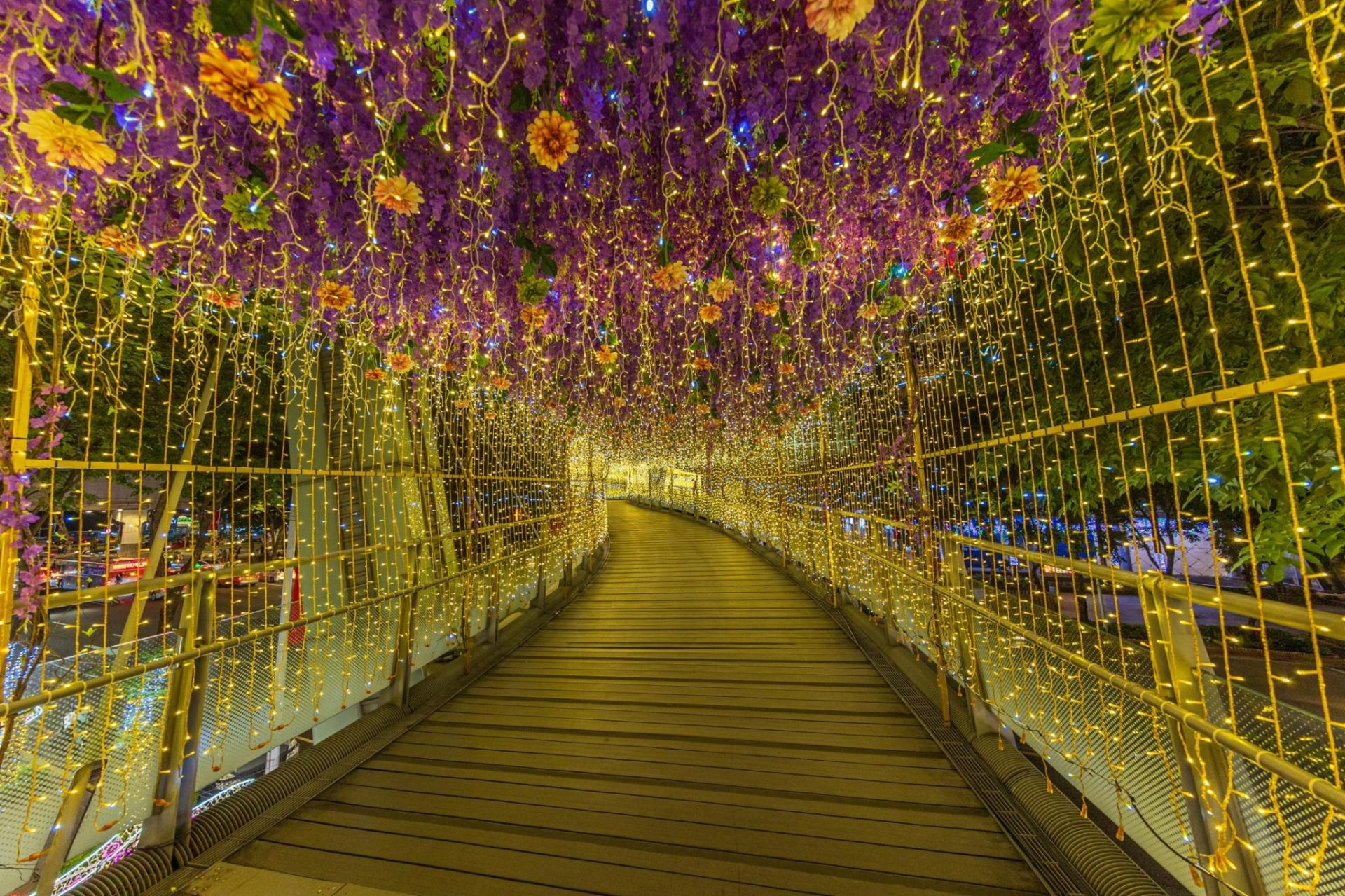 London Design Awards Winner - 2023 Christmasland in New Taipei City