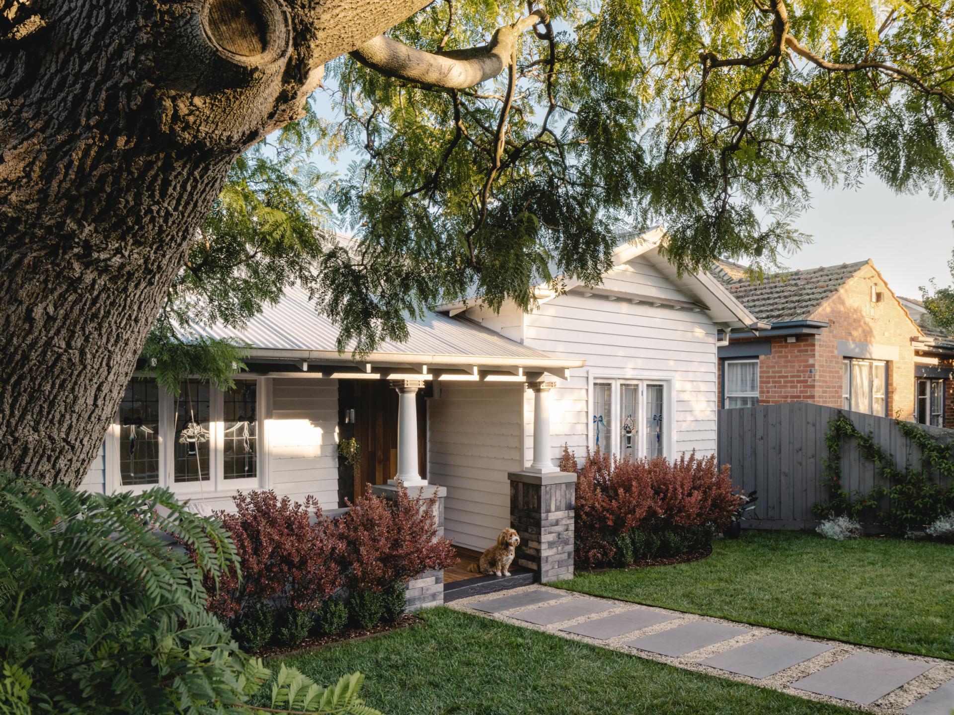 London Design Awards Winner - Elm Seed House