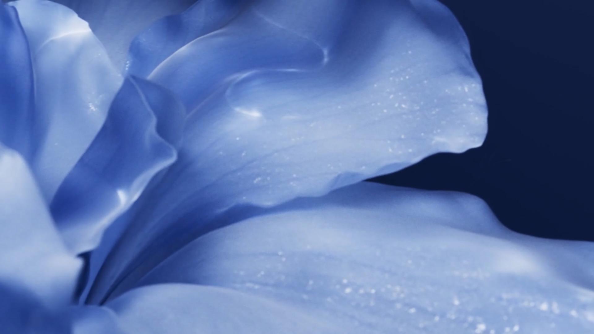 London Design Awards Winner - B21 Extraordinaire Cream-Product Promotional Video