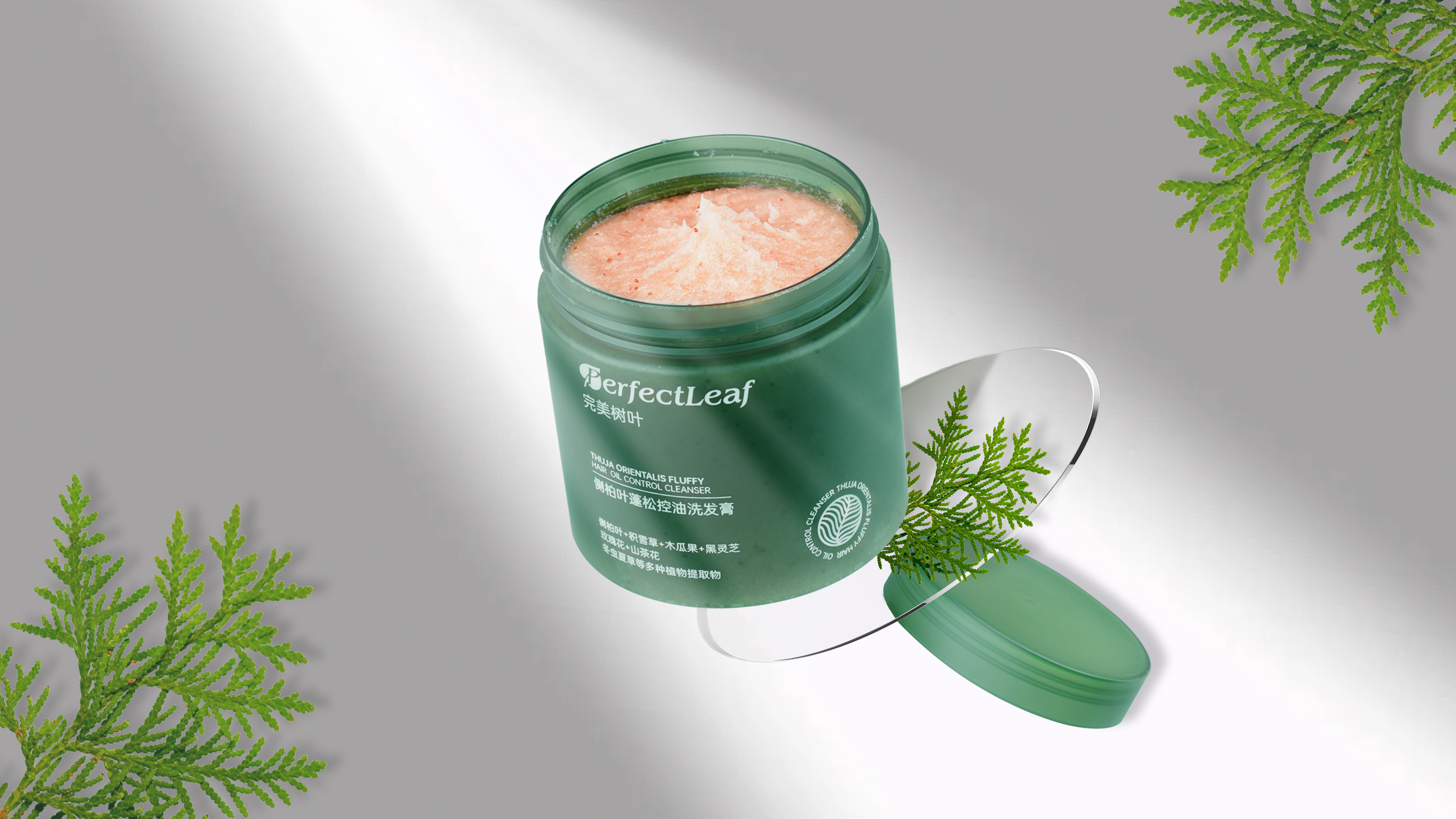 London Design Awards Winner - PerfectLeaf Arborvitae Leaf Fluffy Oil Control Shampoo