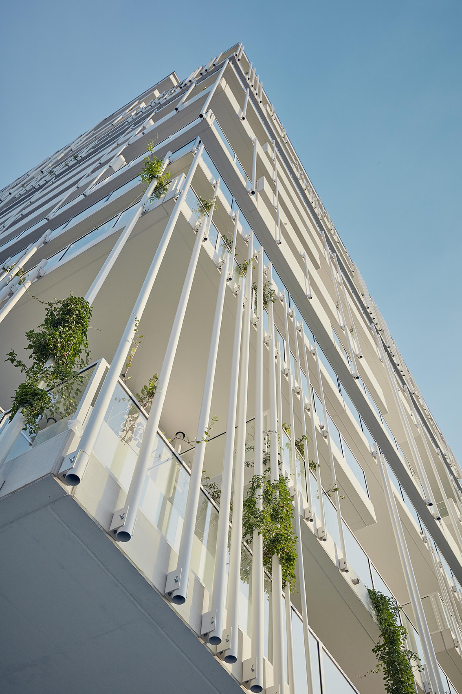 London Design Awards Winner - taborama high rise – white outside / colourful inside