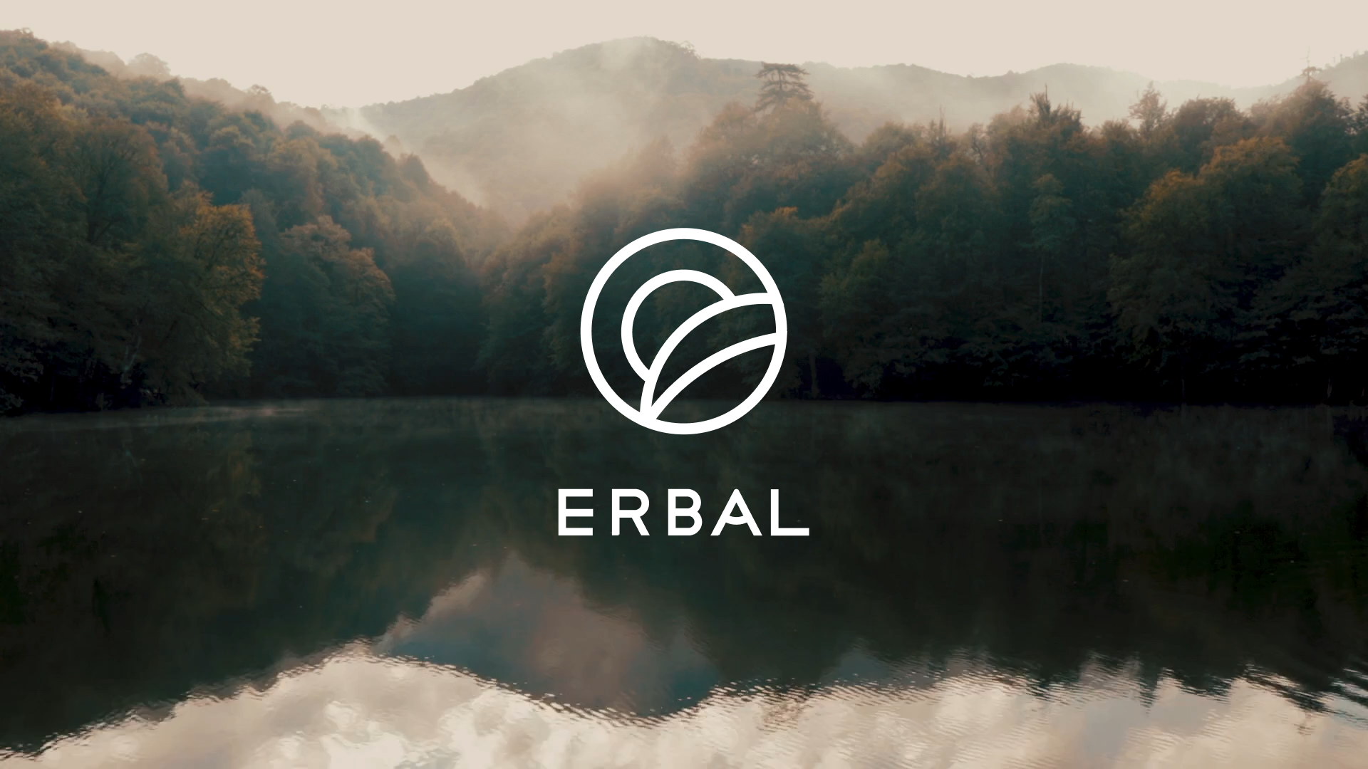 London Design Awards Winner - Erbal Tea Visual Identity