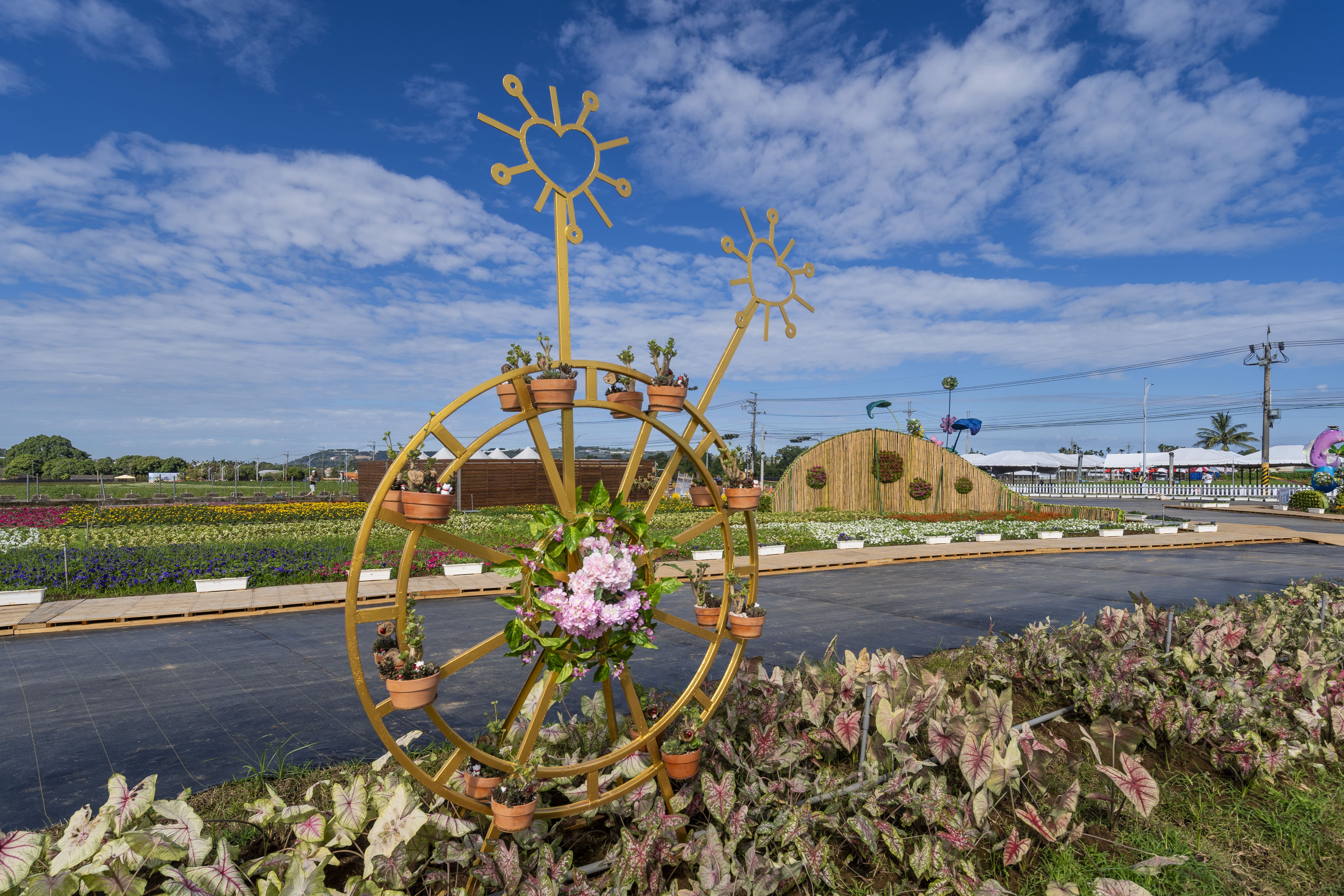 London Design Awards Winner - 2023 Taichung International Flower Carpet Festival 