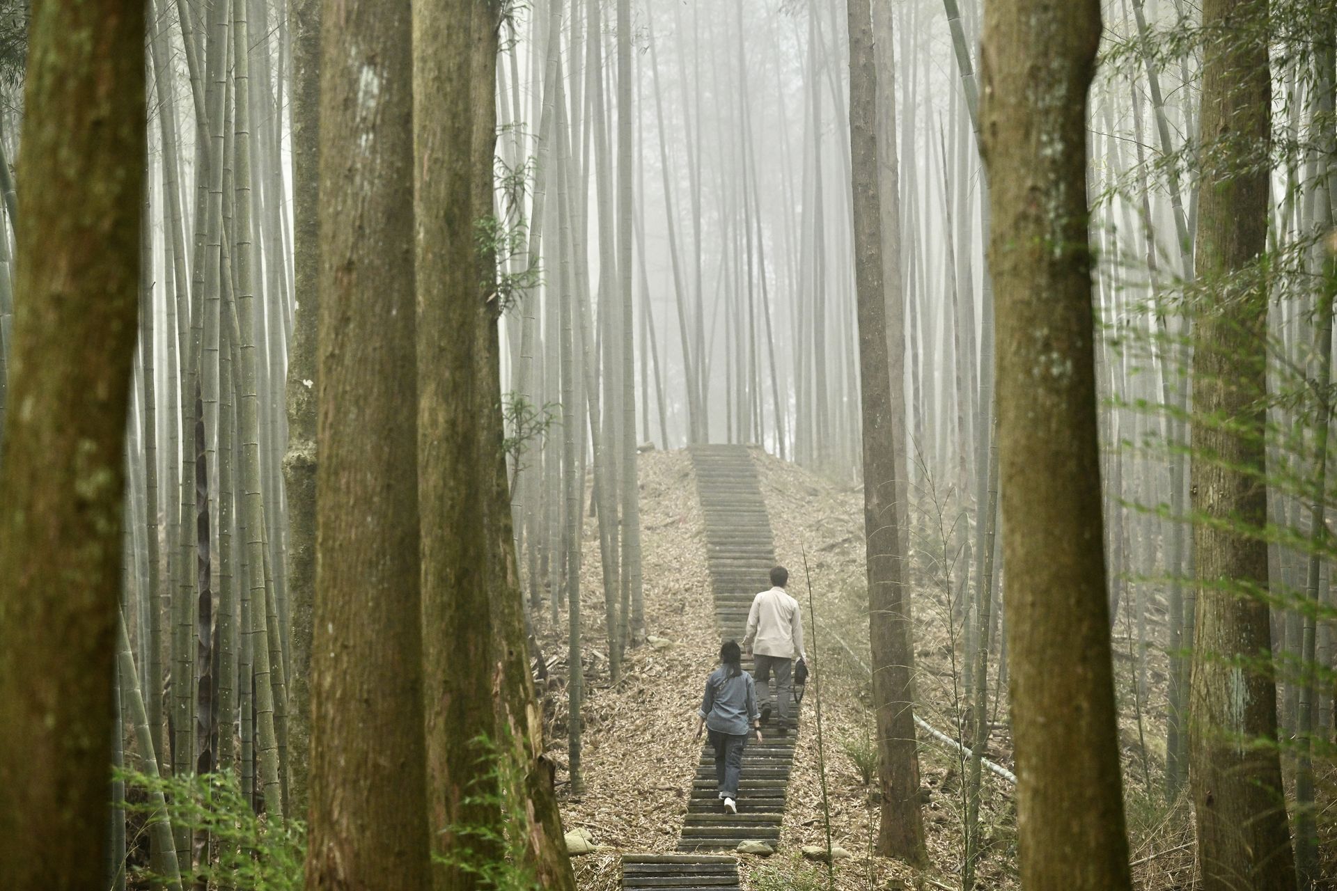 London Design Awards Winner - Forest therapy