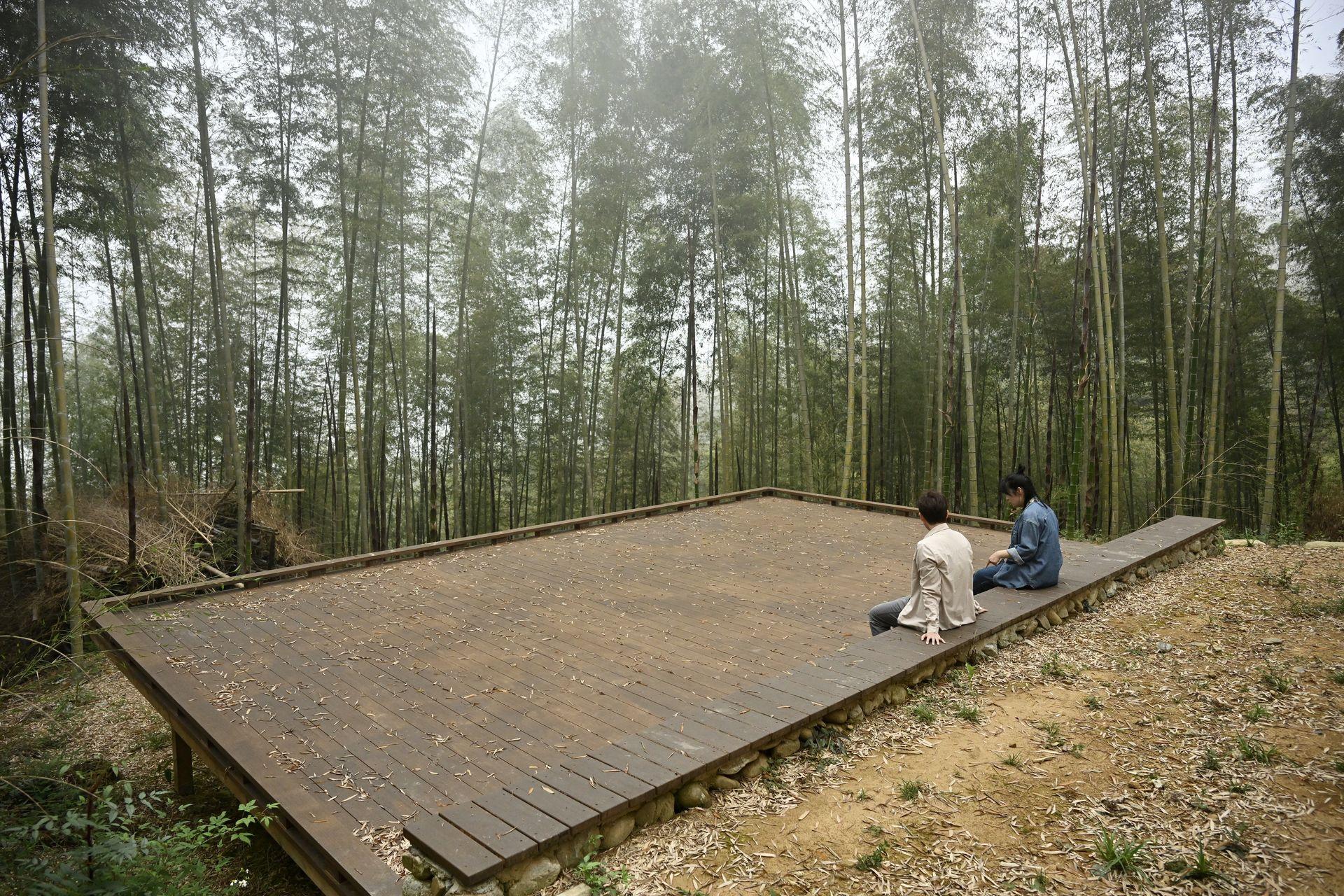 London Design Awards Winner - Forest therapy