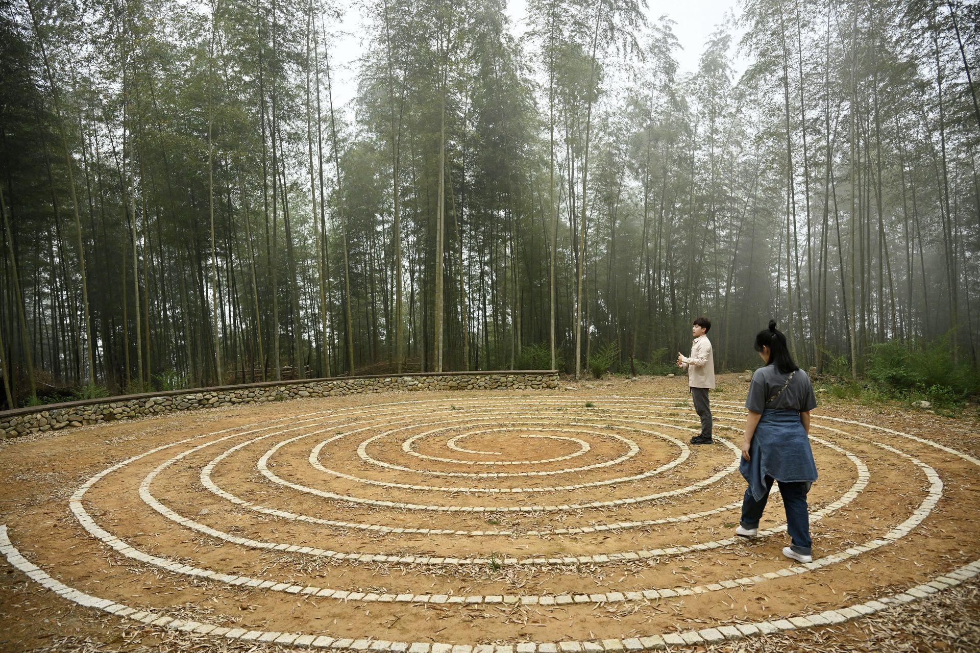 London Design Awards Winner - Forest therapy