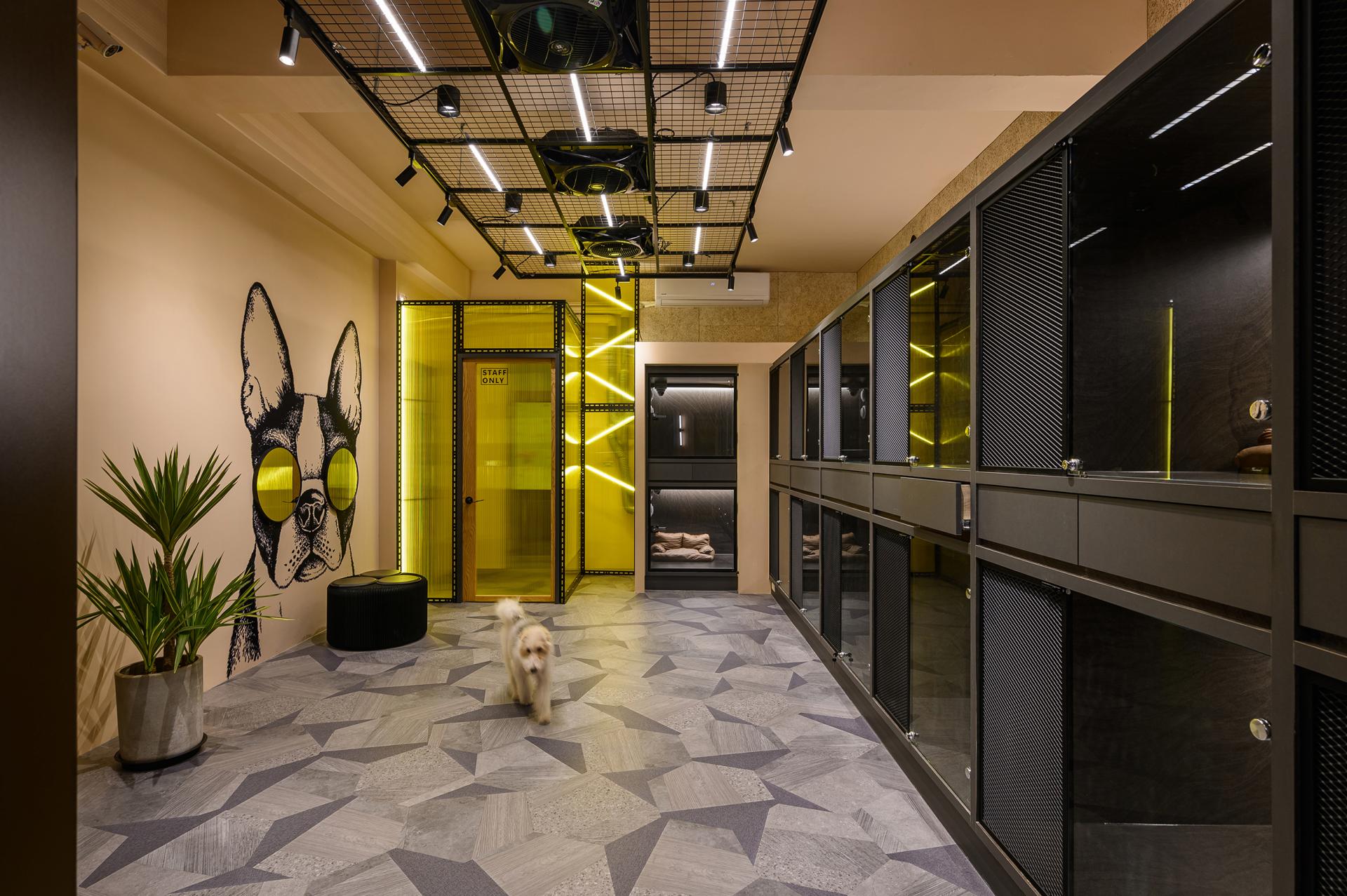 London Design Awards Winner - The Furbulous House
