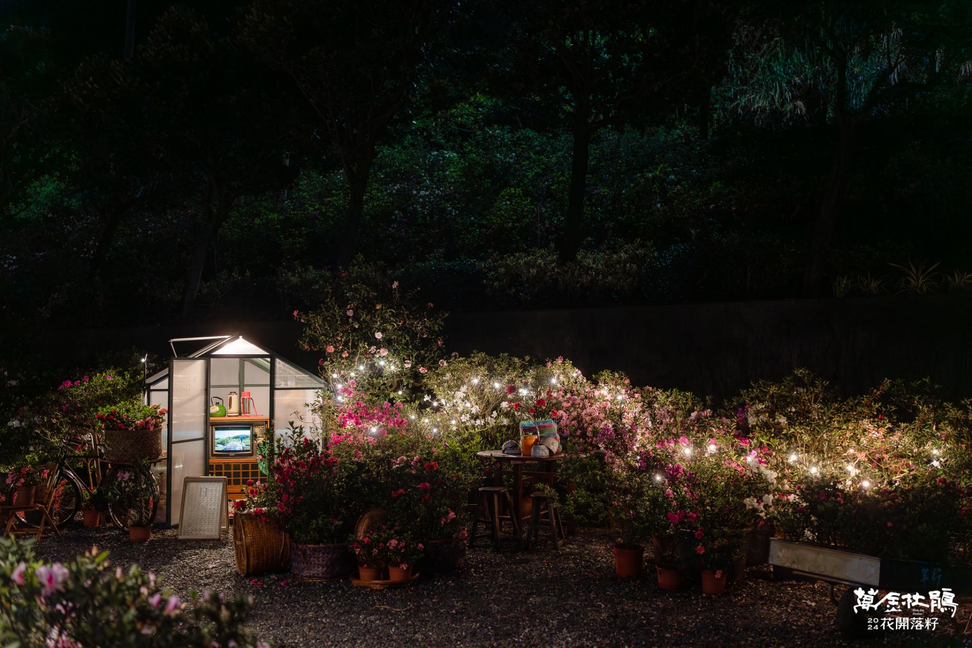 London Design Awards Winner - Wanjin Azalea