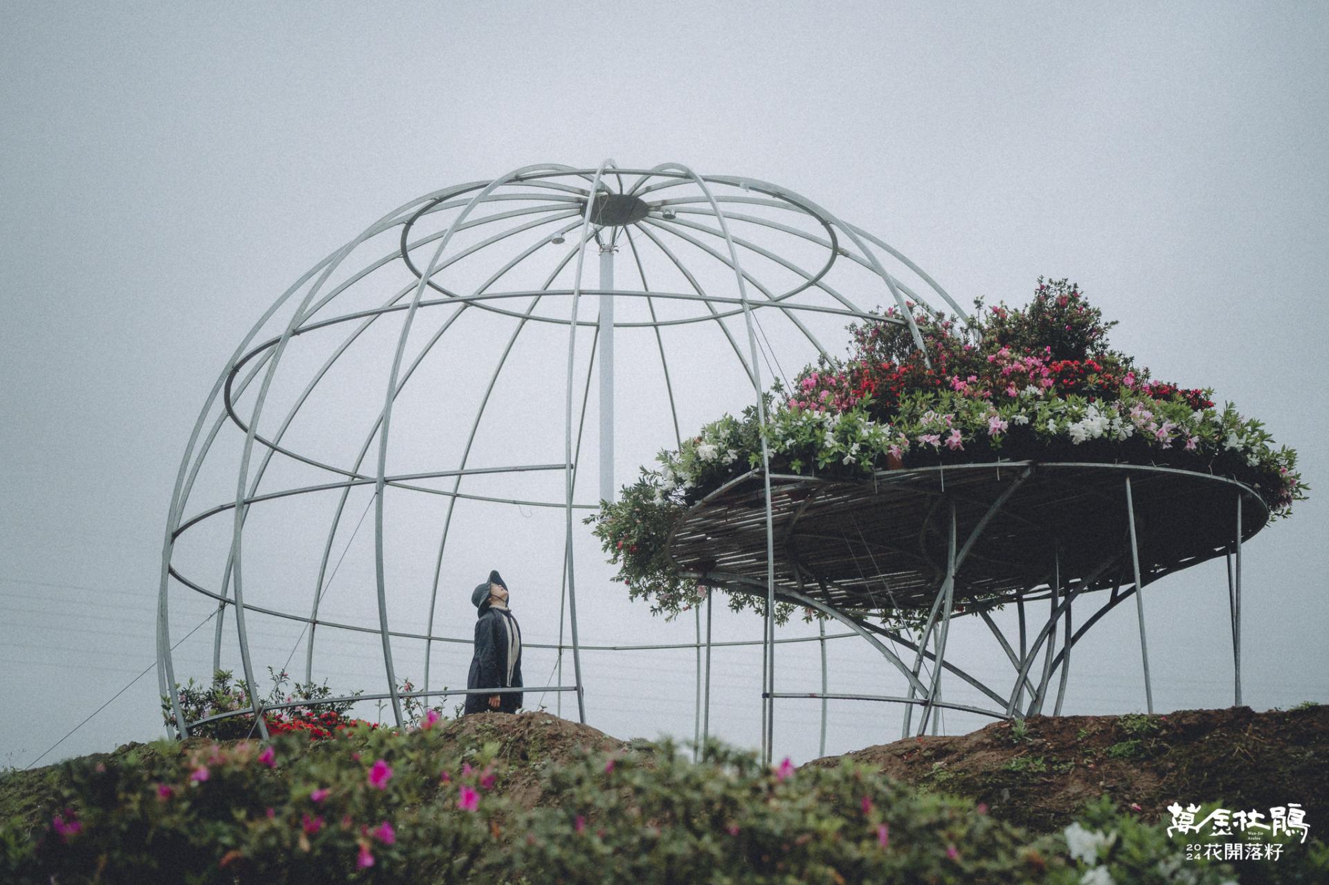 London Design Awards Winner - Wanjin Azalea