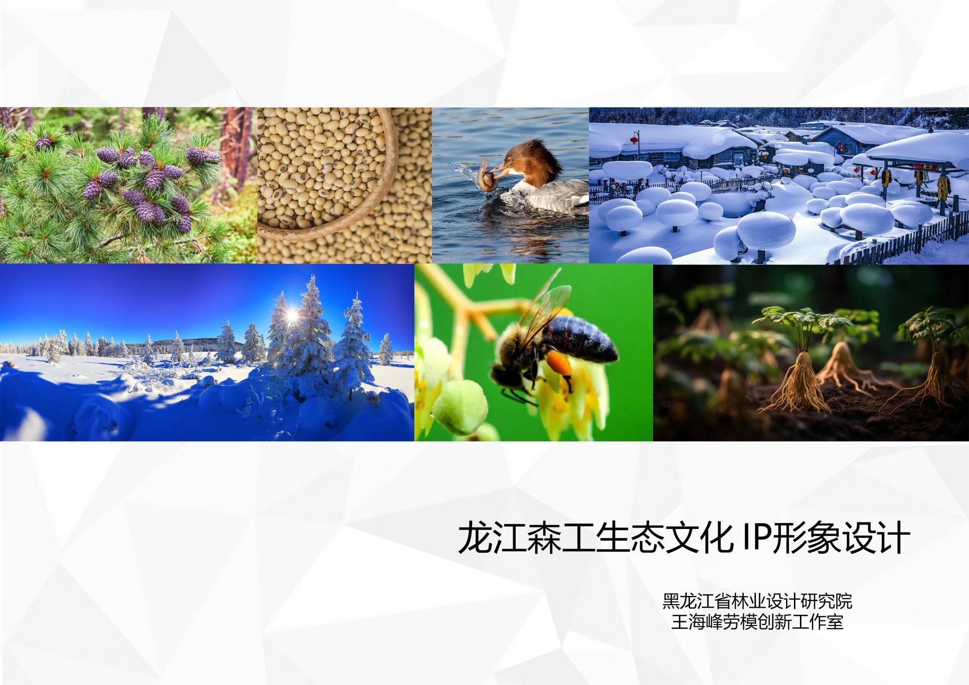 London Design Awards Winner - Longjiang Forest Industry Ecological Culture IP Design