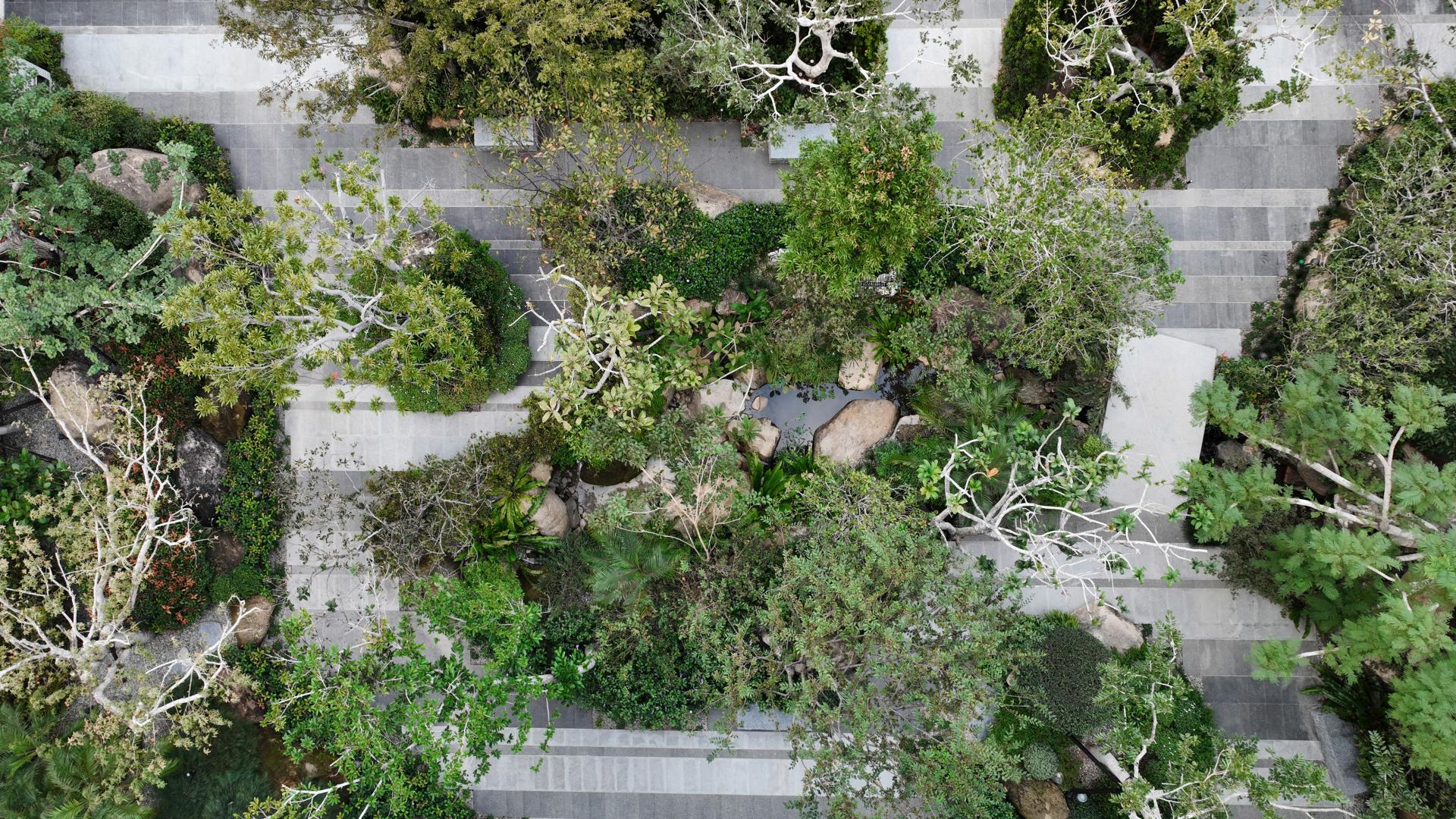 London Design Awards Winner - Woodland Dreams Unfold