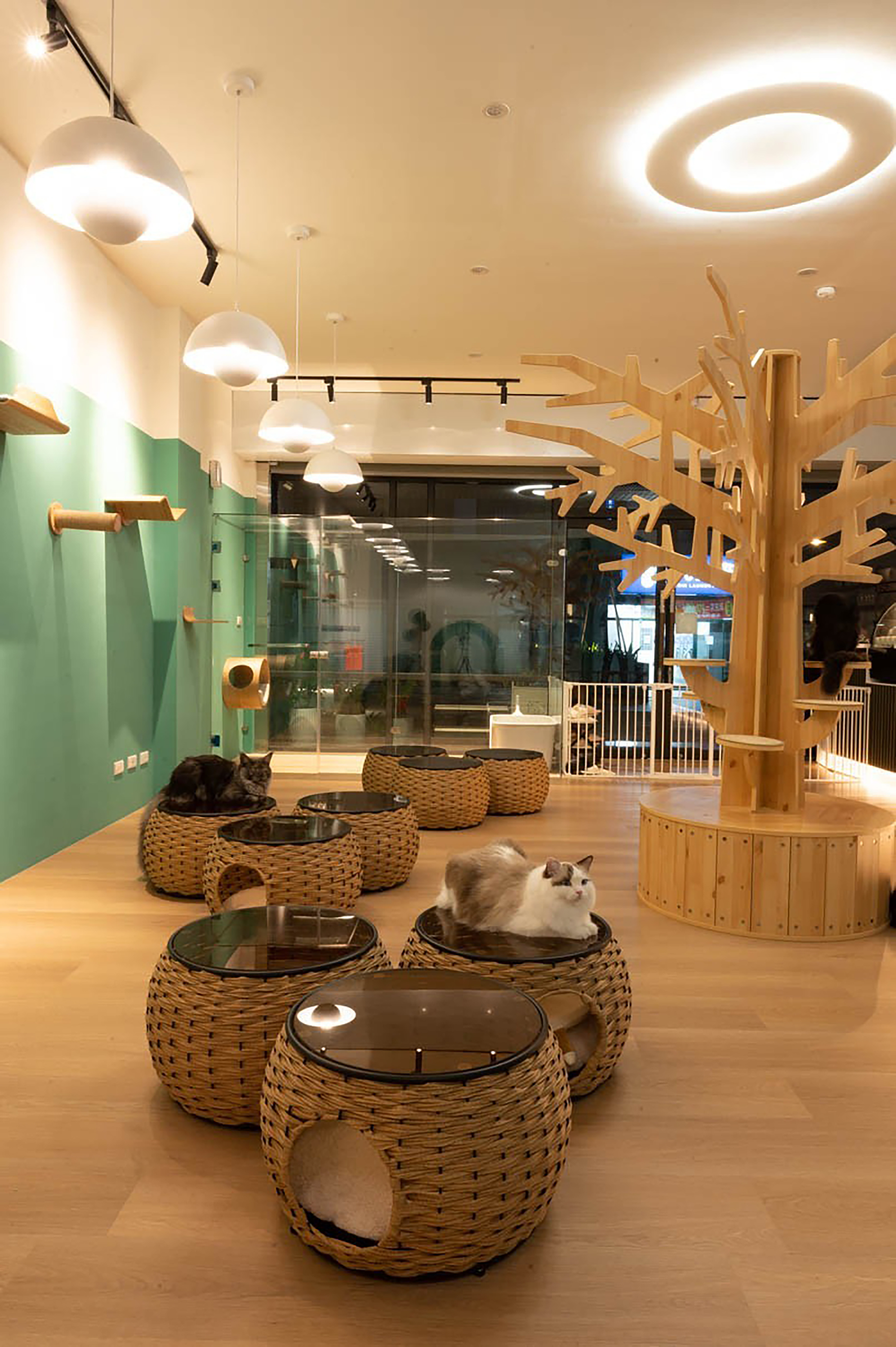 London Design Awards Winner - Meow Me Café