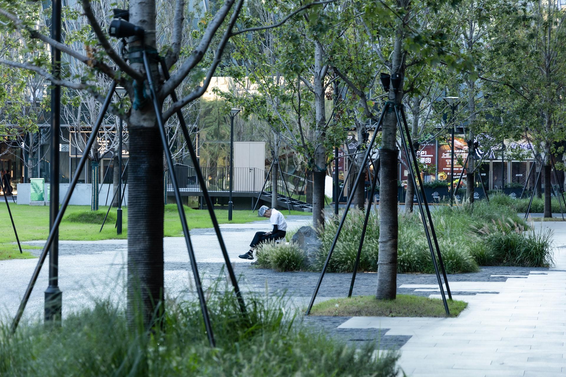 London Design Awards Winner - Longfor Hongqiao Walk In Project Landscape Renovation