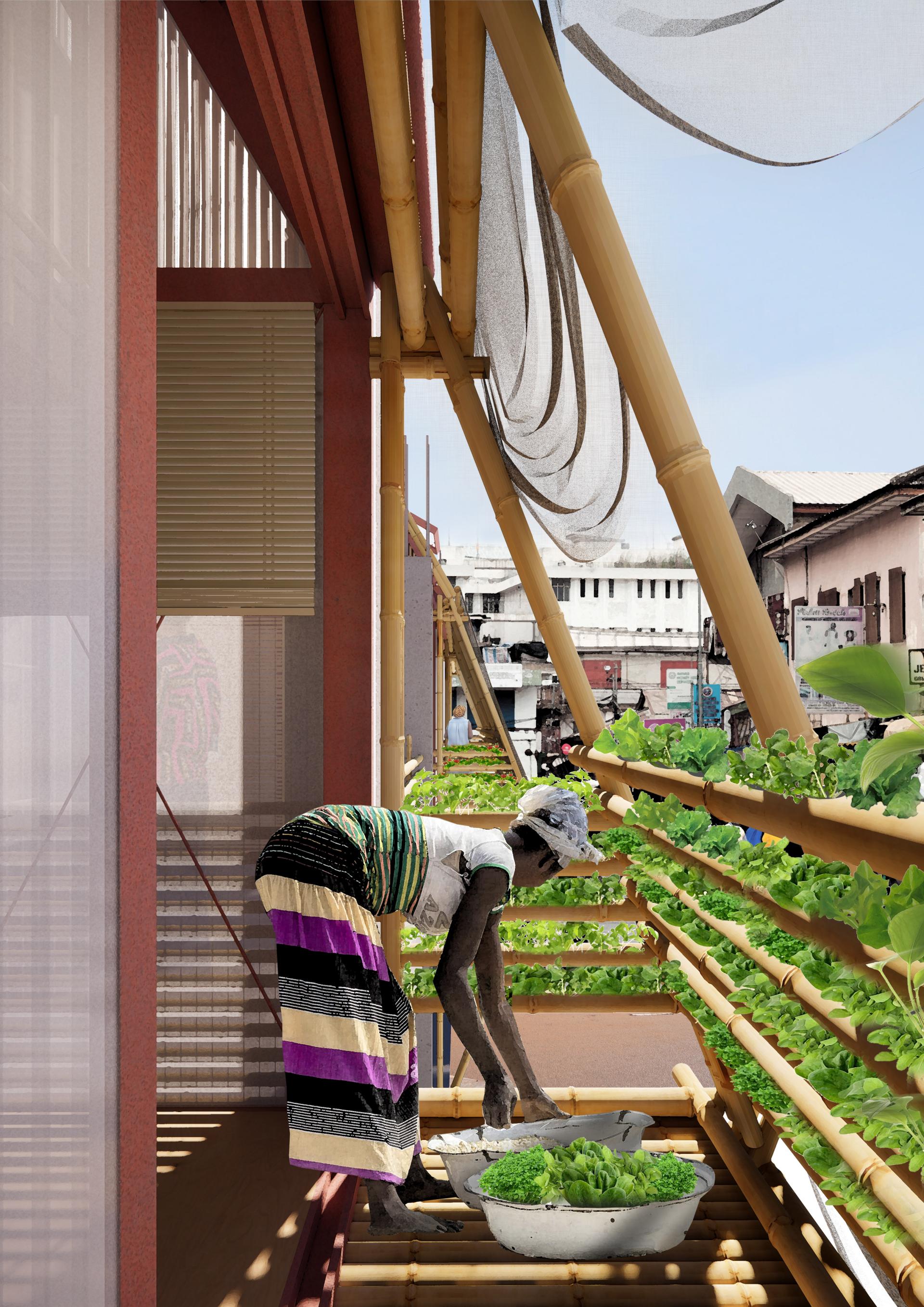 London Design Awards Winner - Oasis in the Void