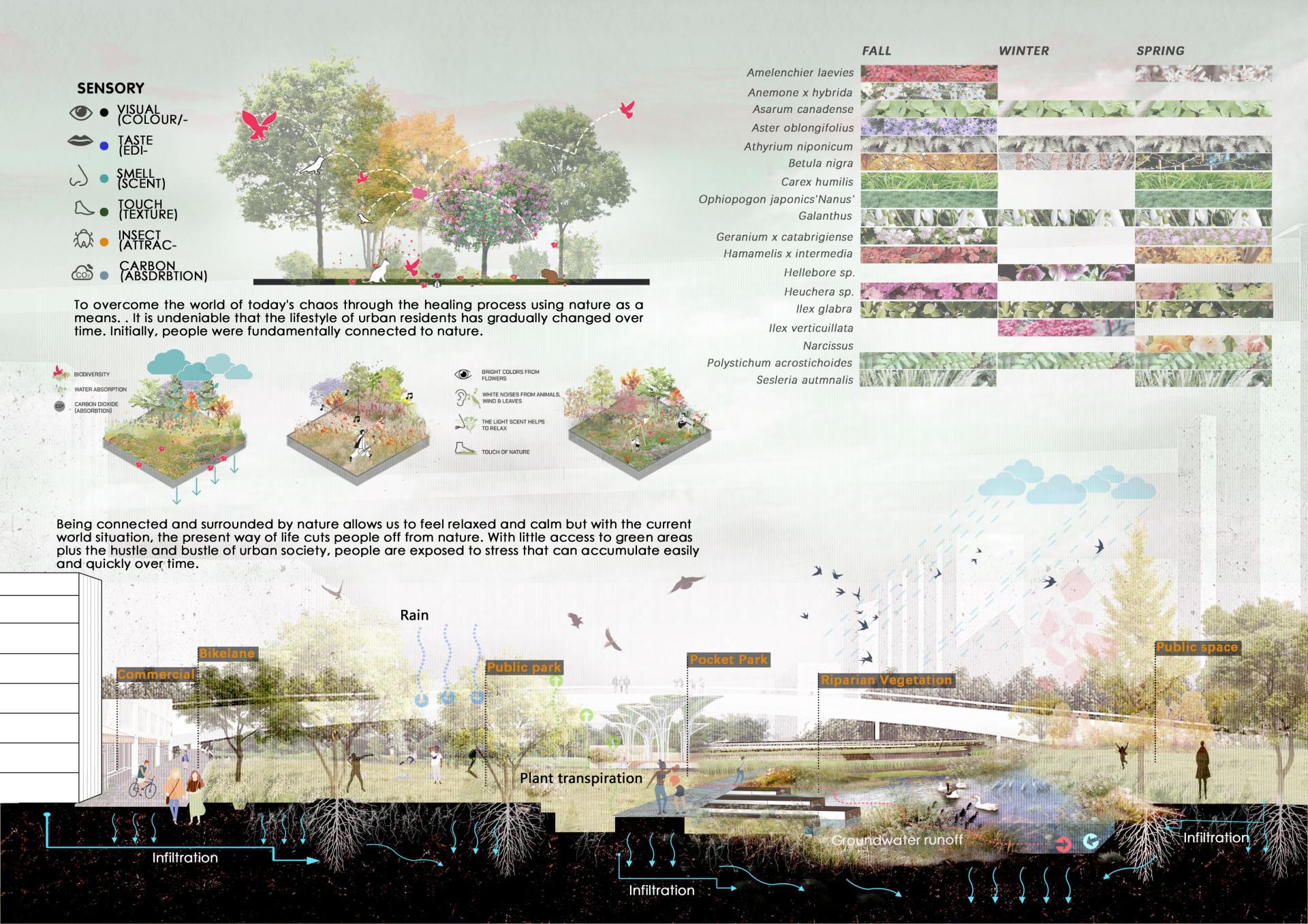 London Design Awards Winner - Timeless Grove