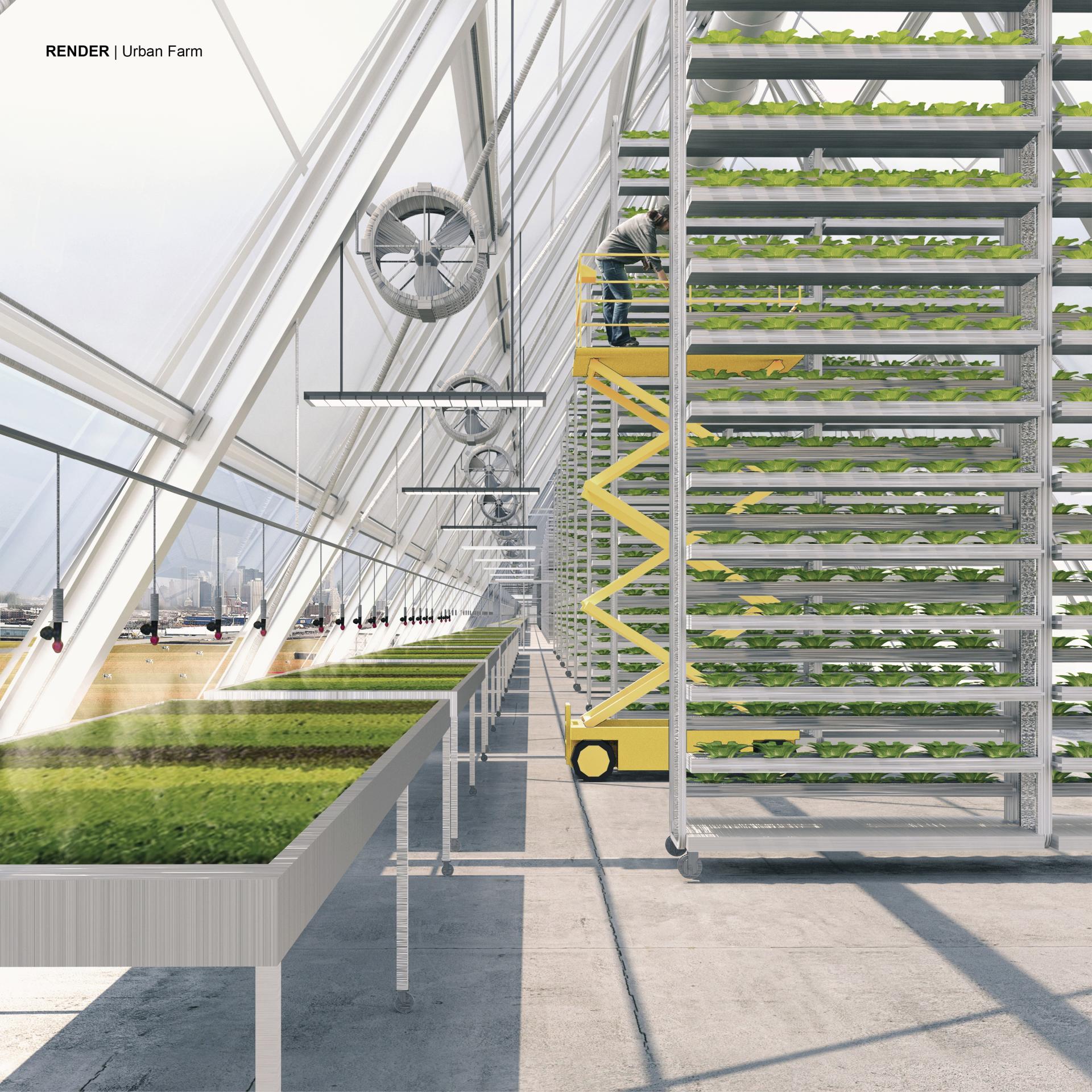 London Design Awards Winner - Brooklyn Dairy Project