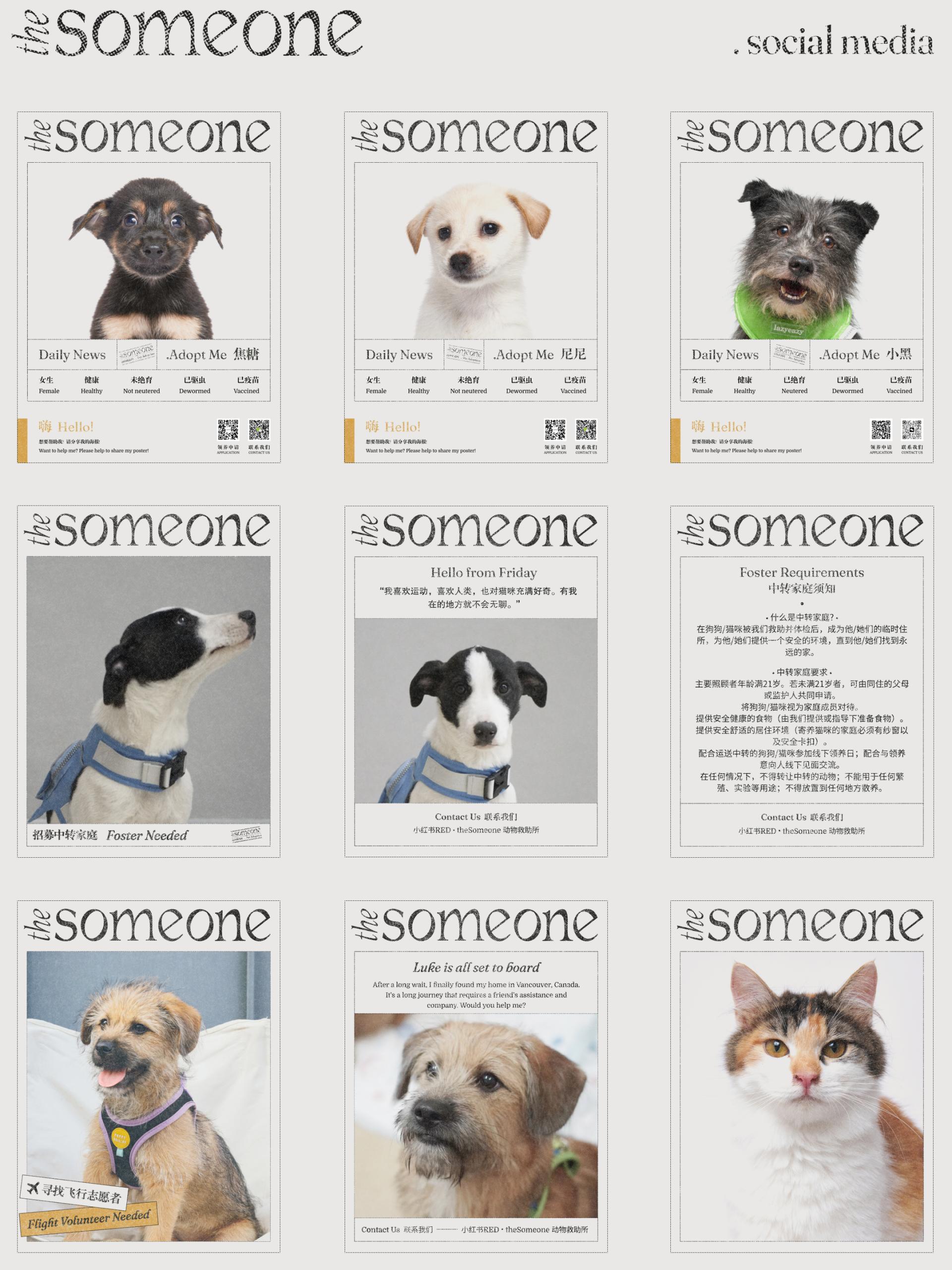 London Design Awards Winner - The Someone