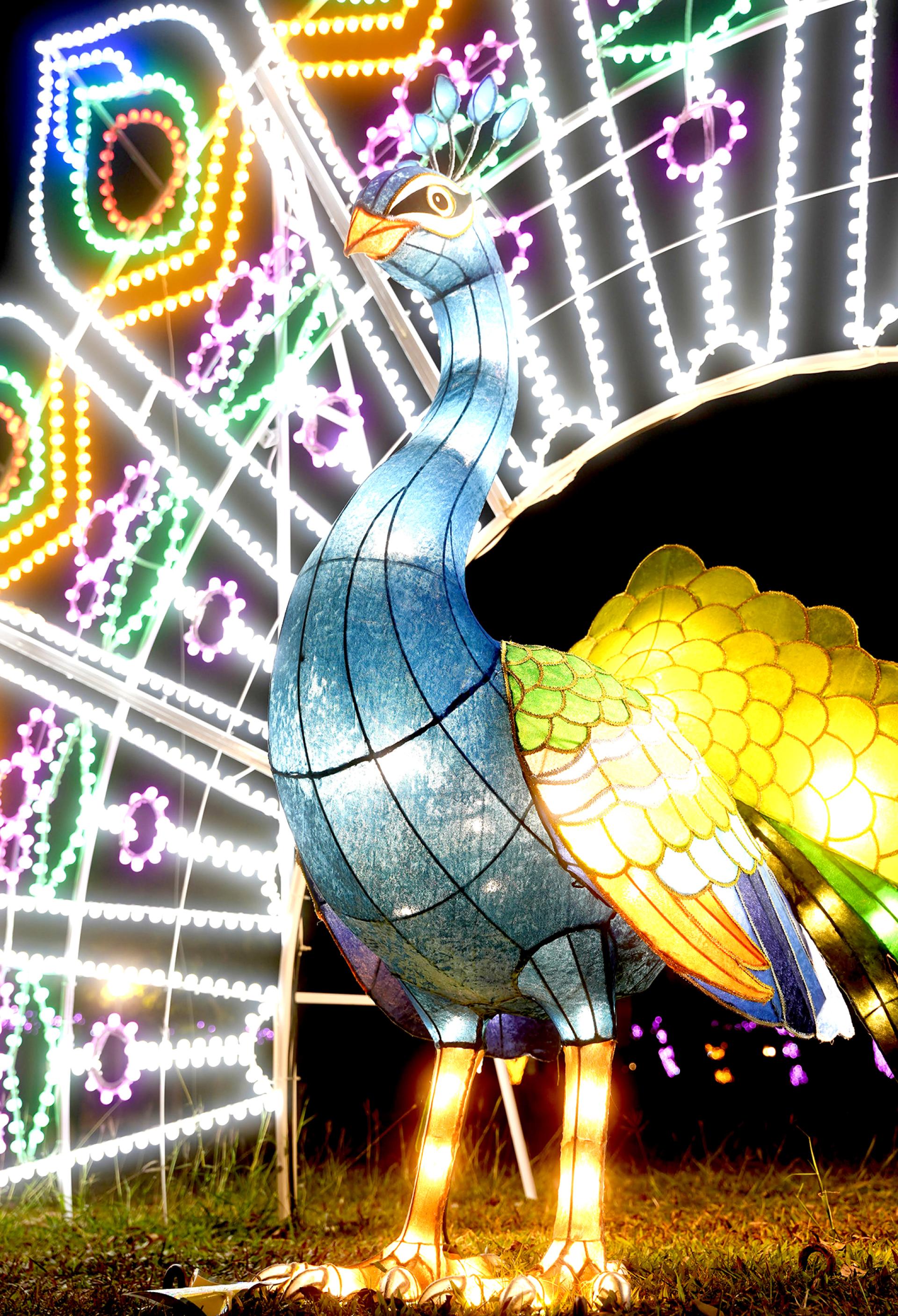 London Design Awards Winner - 2025 Douliu Spring Festival Lantern Exhibition
