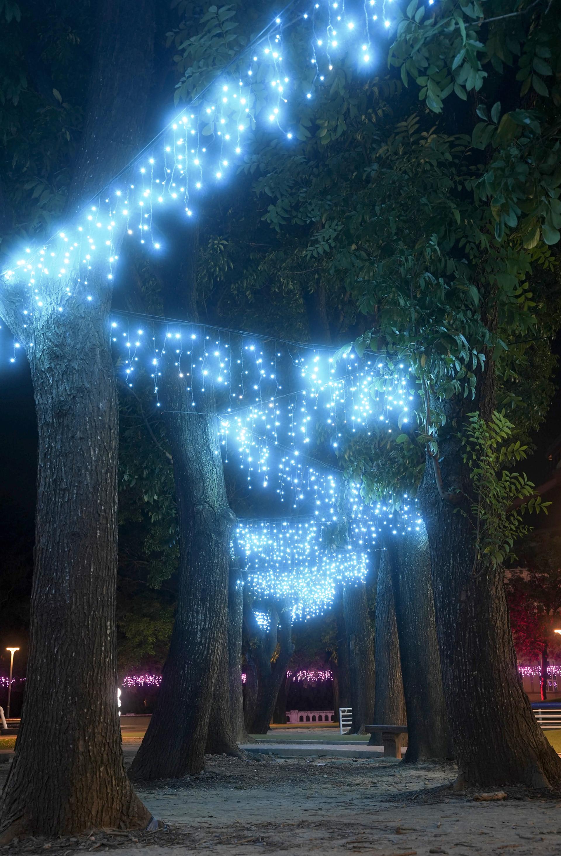 London Design Awards Winner - 2025 Douliu Spring Festival Lantern Exhibition