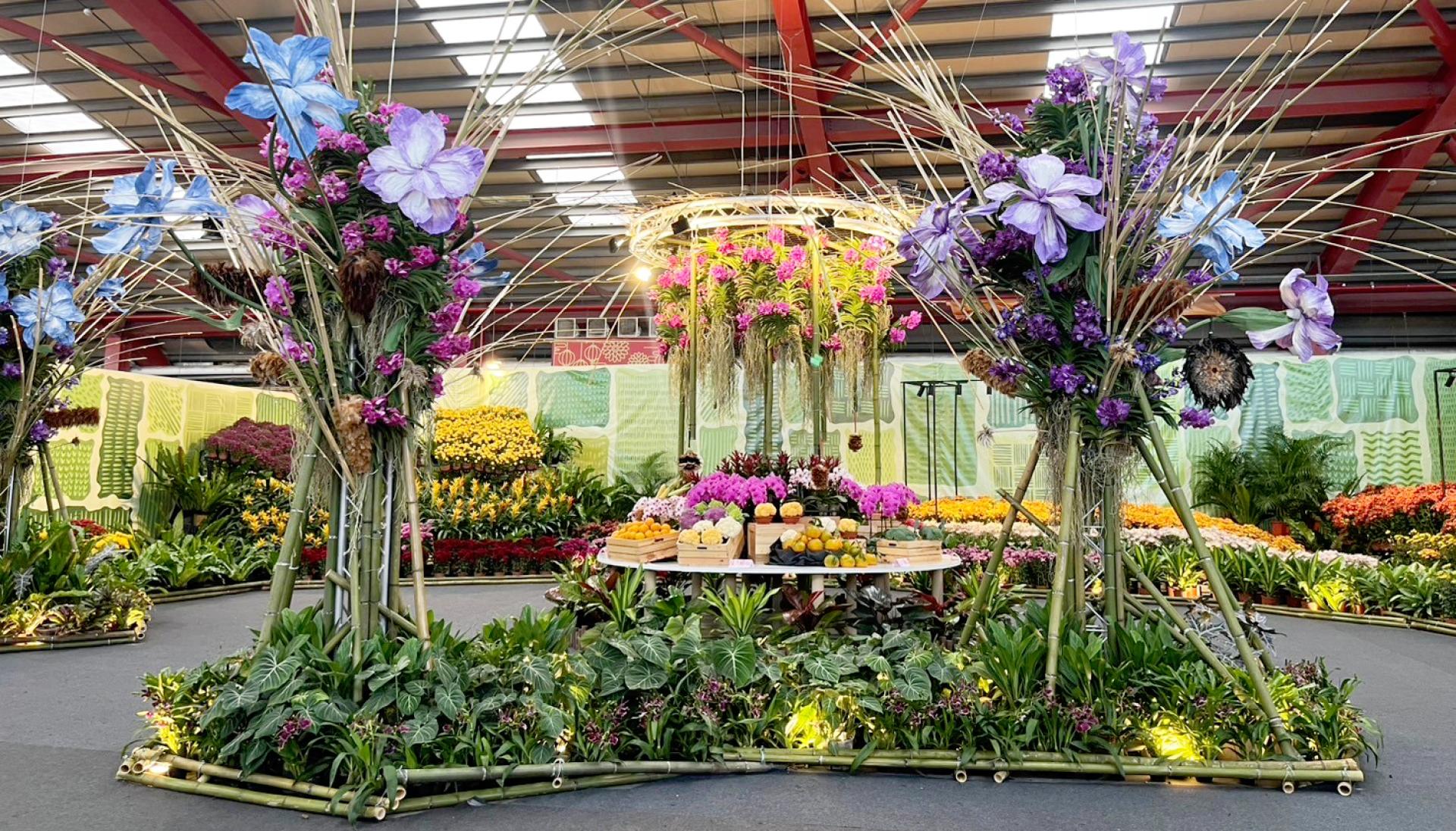 London Design Awards Winner - 2025 Flowers in Changhua - The flower exhibition