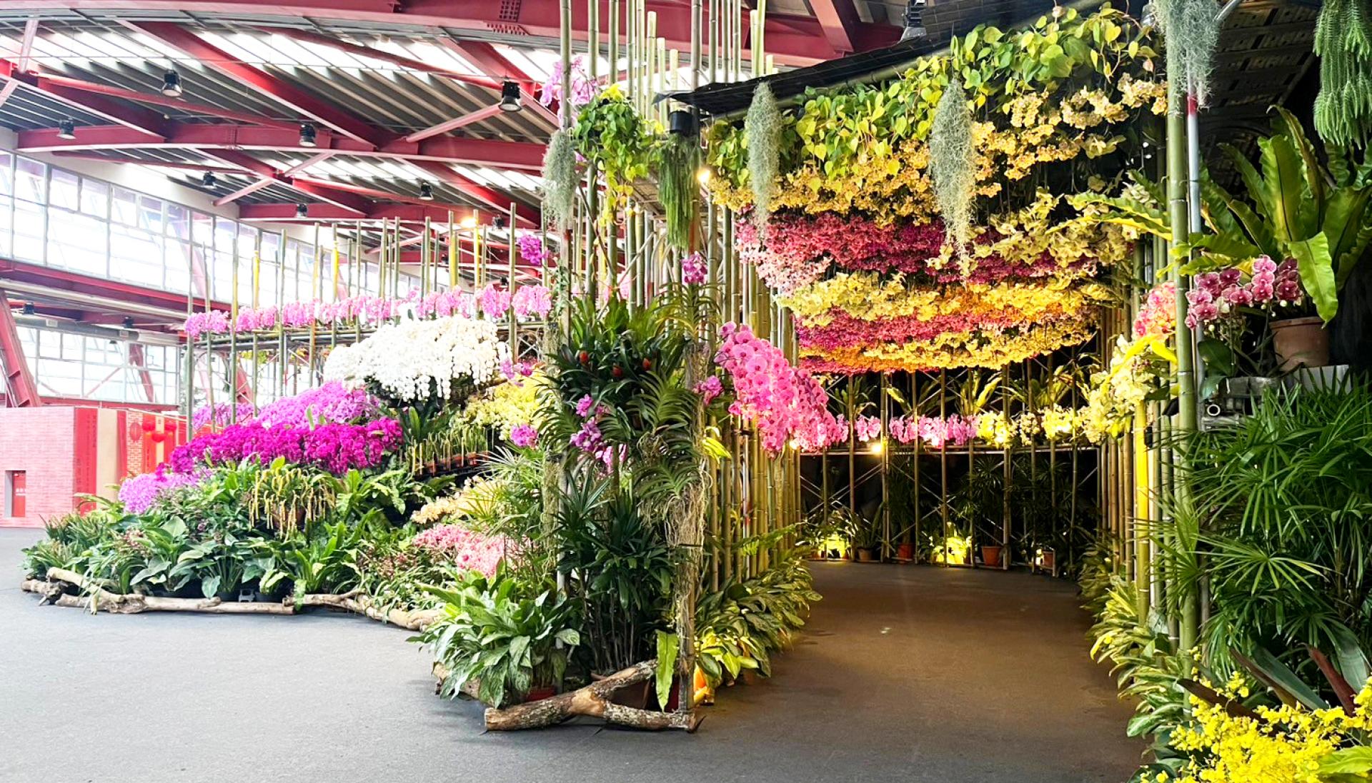 London Design Awards Winner - 2025 Flowers in Changhua - The flower exhibition