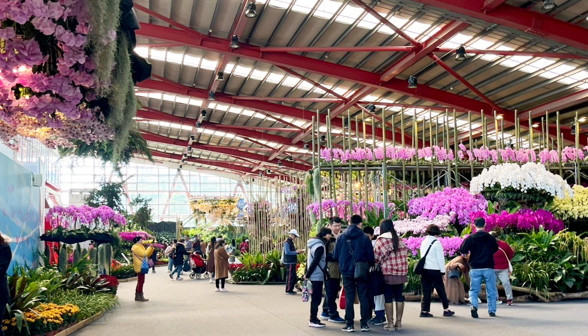 London Design Awards Winner - 2025 Flowers in Changhua - The flower exhibition