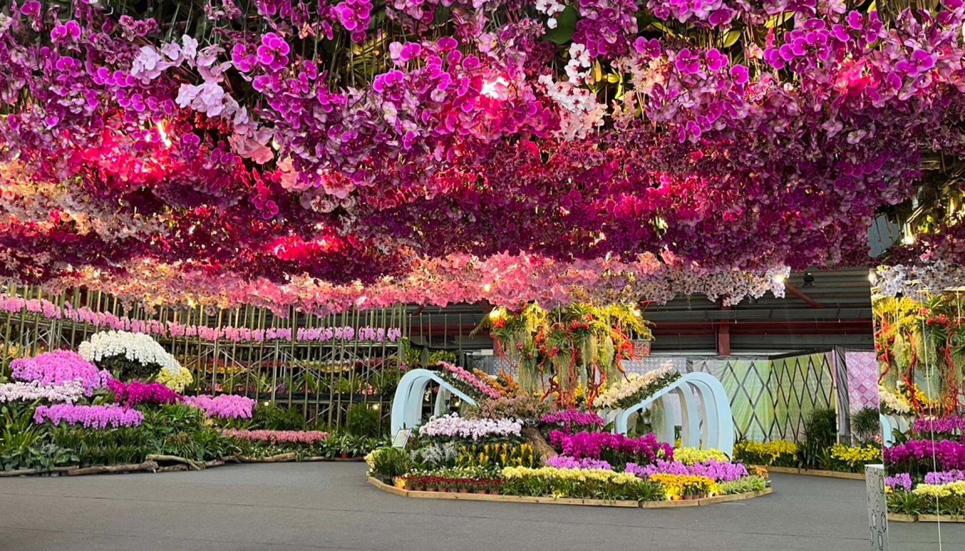London Design Awards Winner - 2025 Flowers in Changhua - The flower exhibition