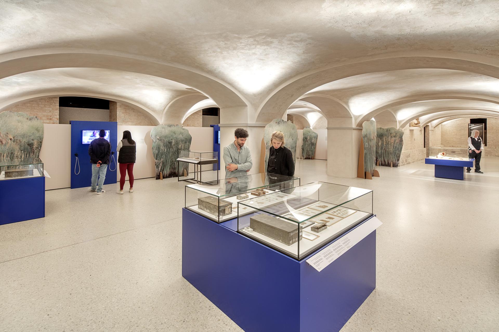 London Design Awards Winner - Elephantine: Island of the Millennia 