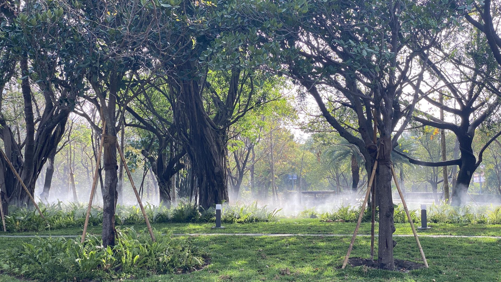 London Design Awards Winner - Neiwei Natural Misty Forest