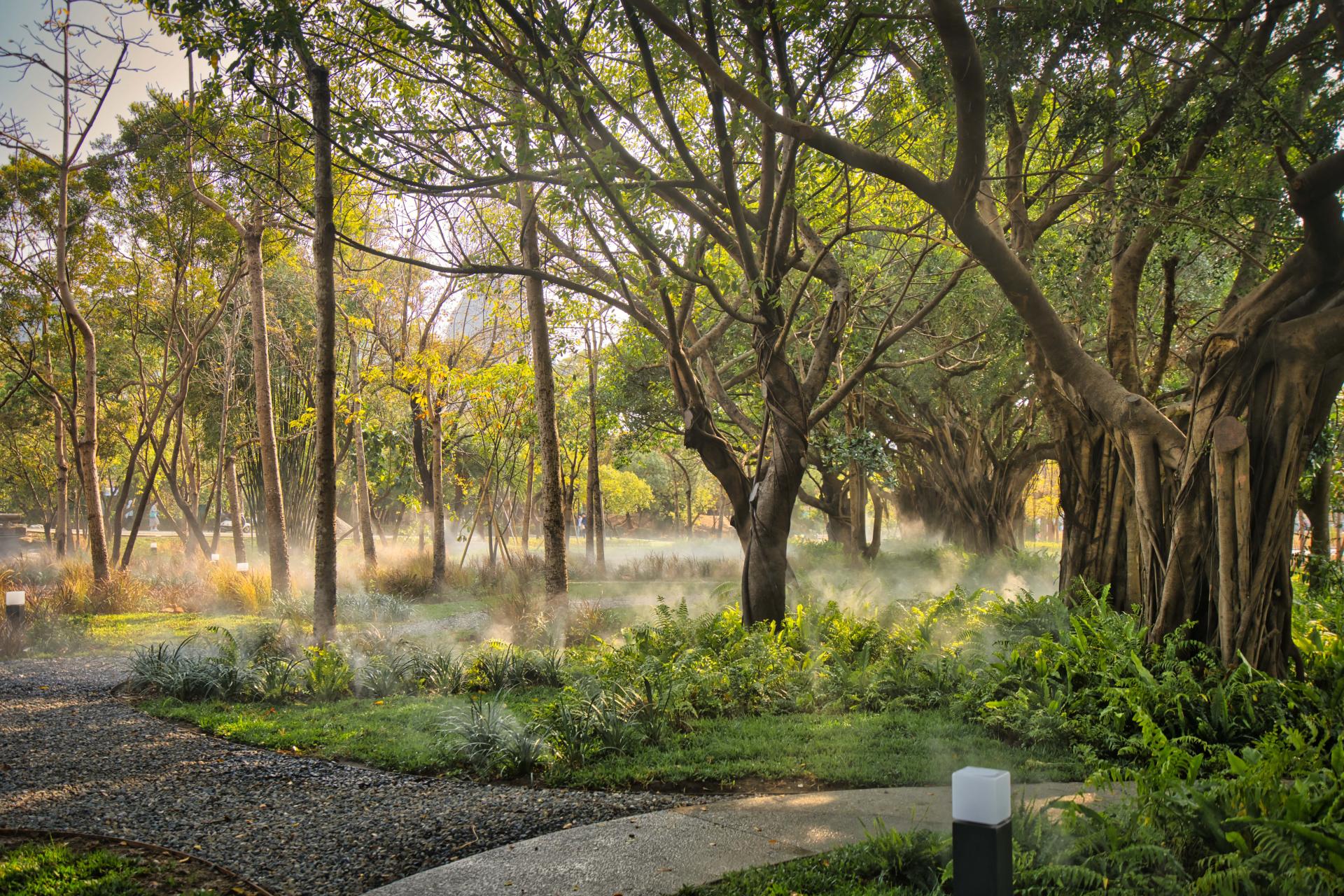 London Design Awards Winner - Neiwei Natural Misty Forest