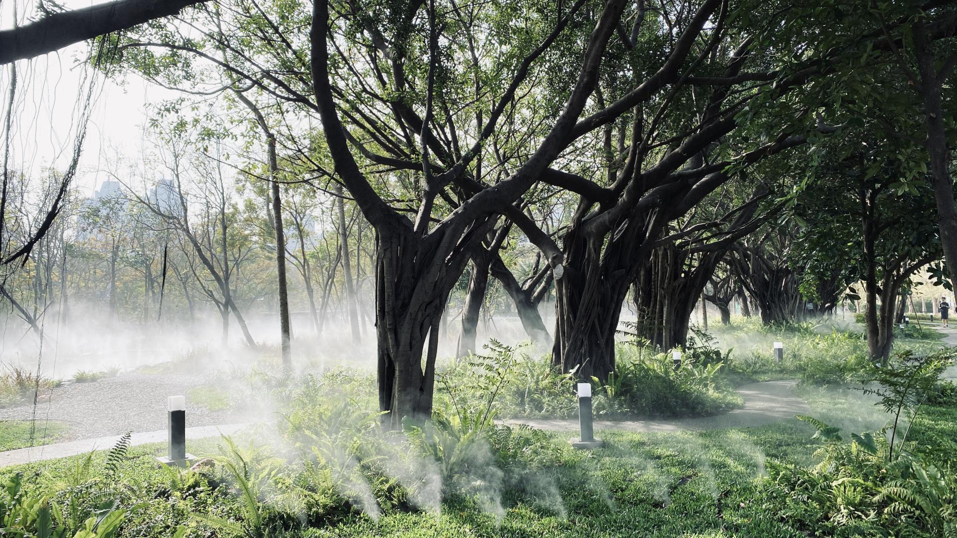 London Design Awards Winner - Neiwei Natural Misty Forest