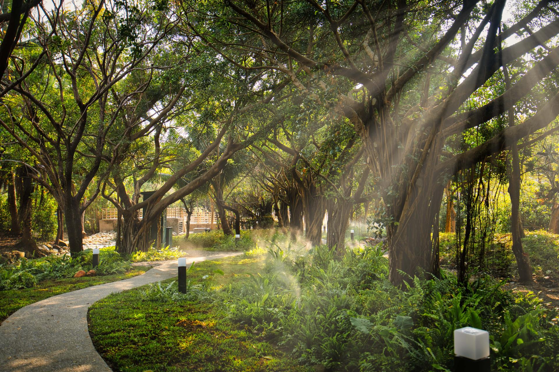 London Design Awards Winner - Neiwei Natural Misty Forest