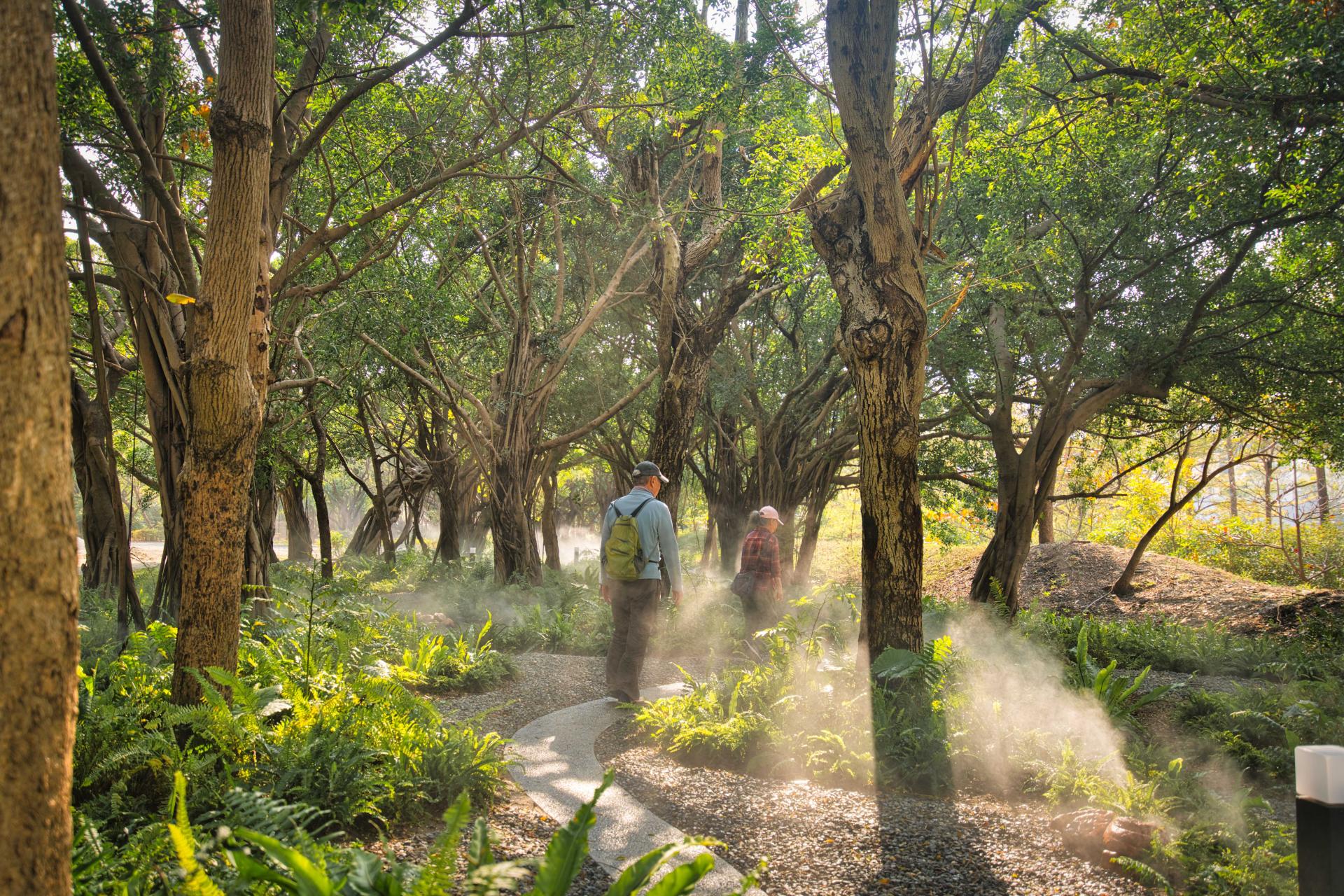 London Design Awards Winner - Neiwei Natural Misty Forest