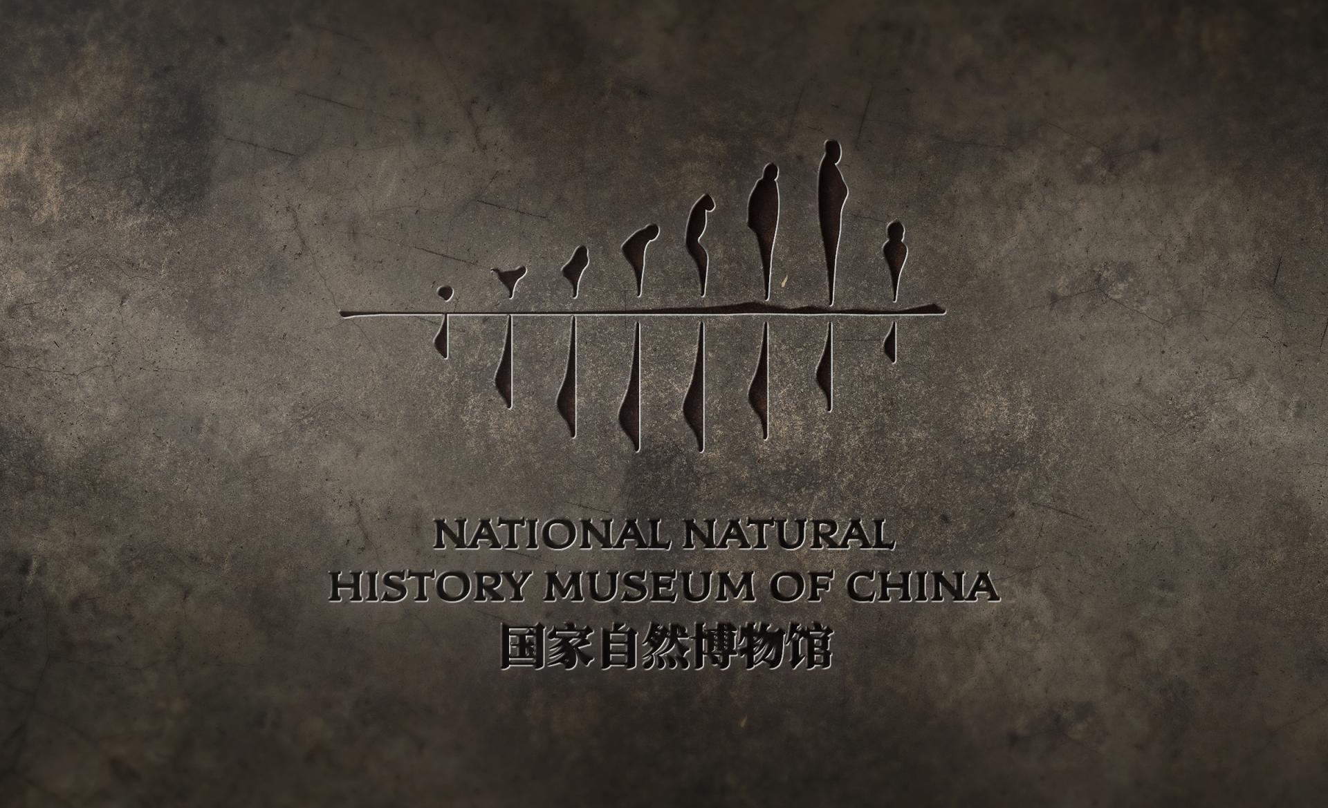 London Design Awards Winner - 国家自然博物馆NATIONAL NATURAL HISTORY MUSEUM OF CHINA
