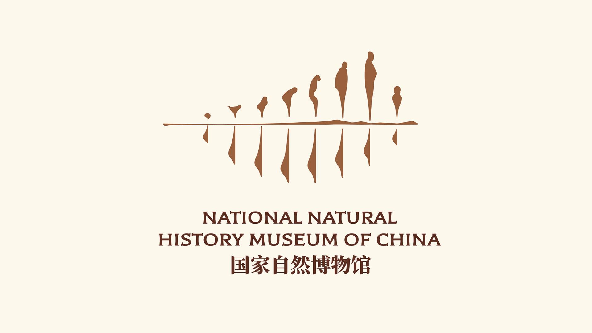 London Design Awards Winner - 国家自然博物馆NATIONAL NATURAL HISTORY MUSEUM OF CHINA