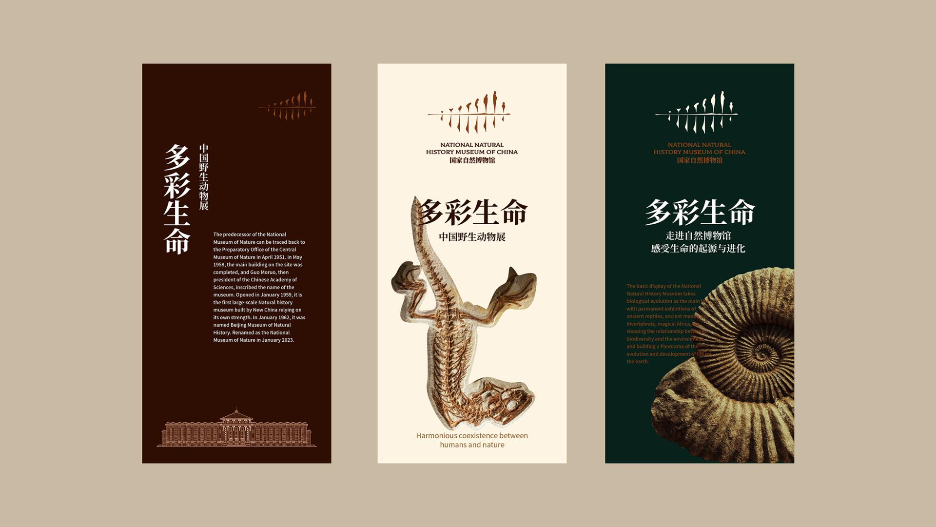 London Design Awards Winner - 国家自然博物馆NATIONAL NATURAL HISTORY MUSEUM OF CHINA