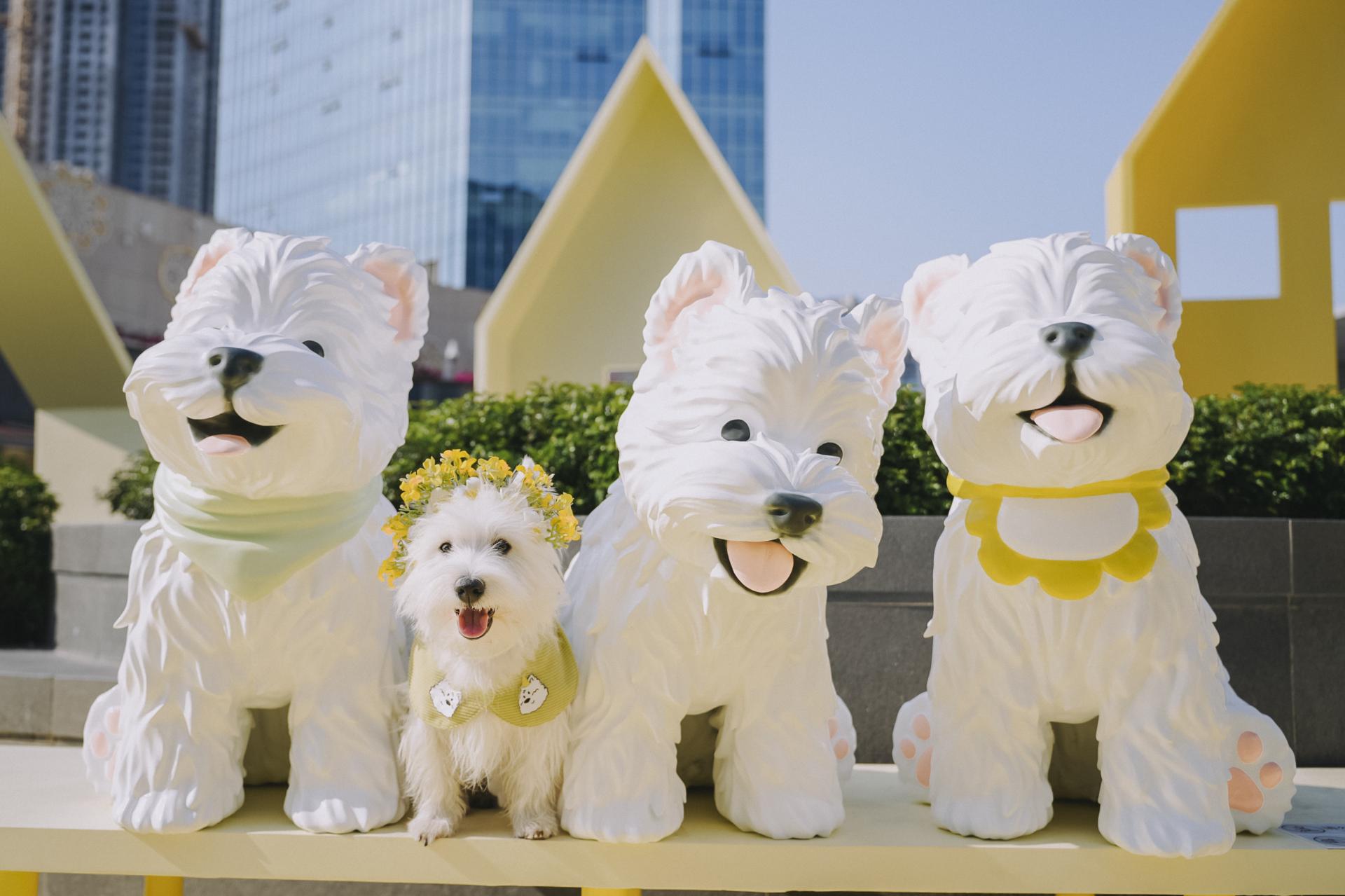 London Design Awards Winner - Loading Puppy