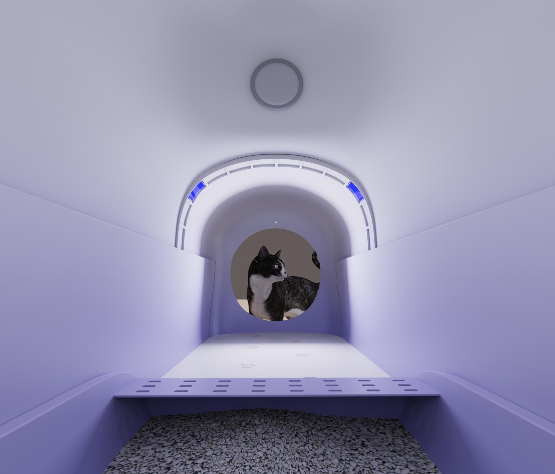 London Design Awards Winner - Daily Journey