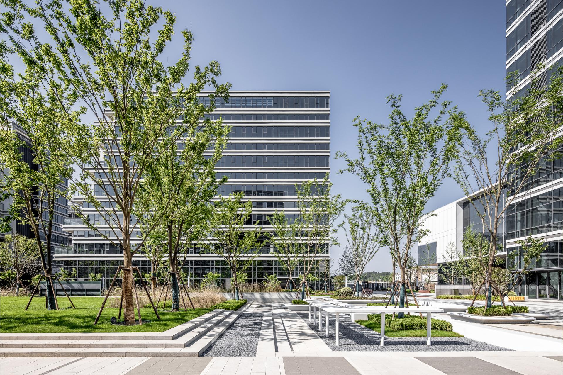 London Design Awards Winner - TIANMU MEDICINE  PORT SMALL AND MICRO VENTURE PARK