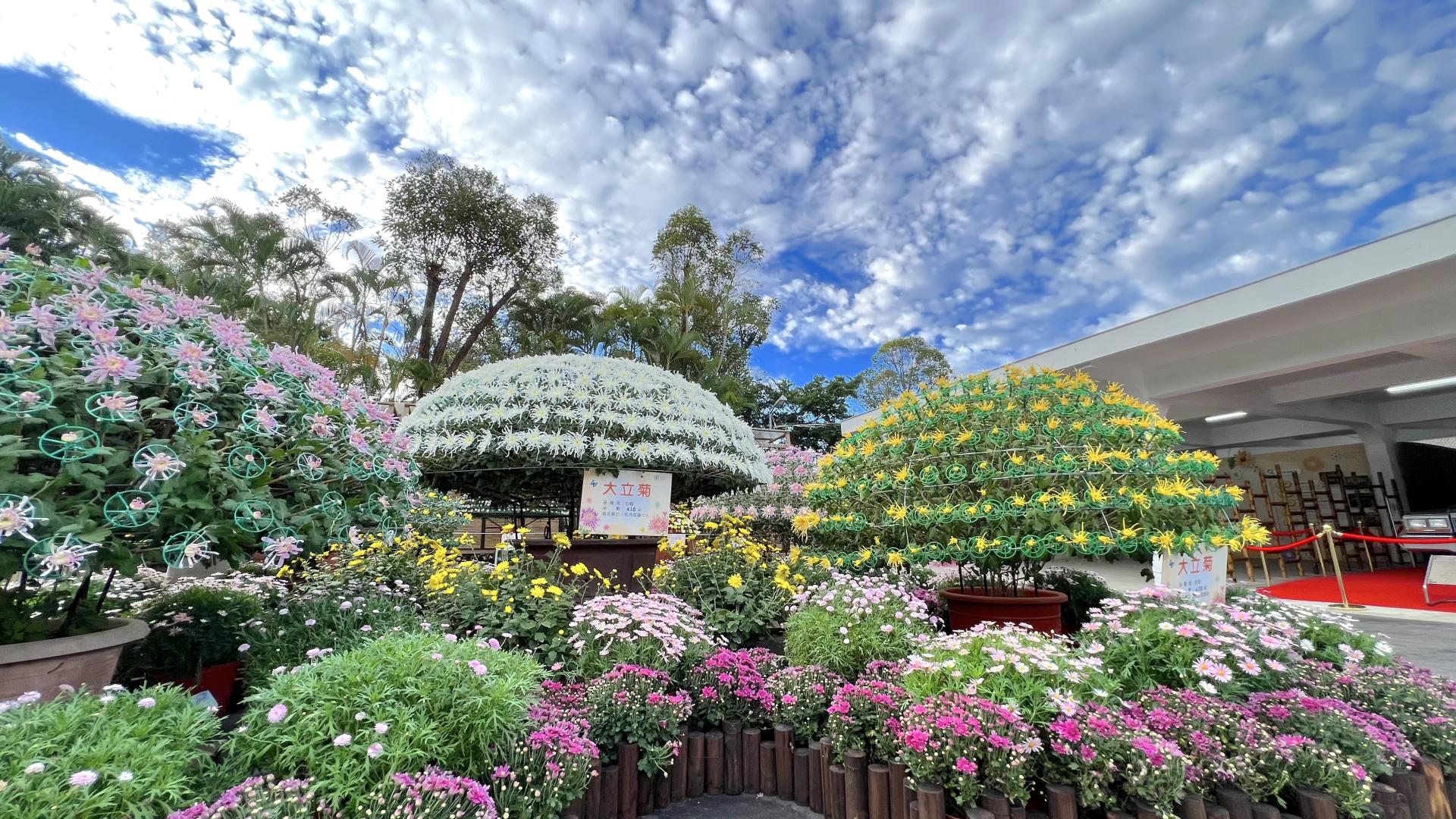 London Design Awards Winner - Flowers In Taipei