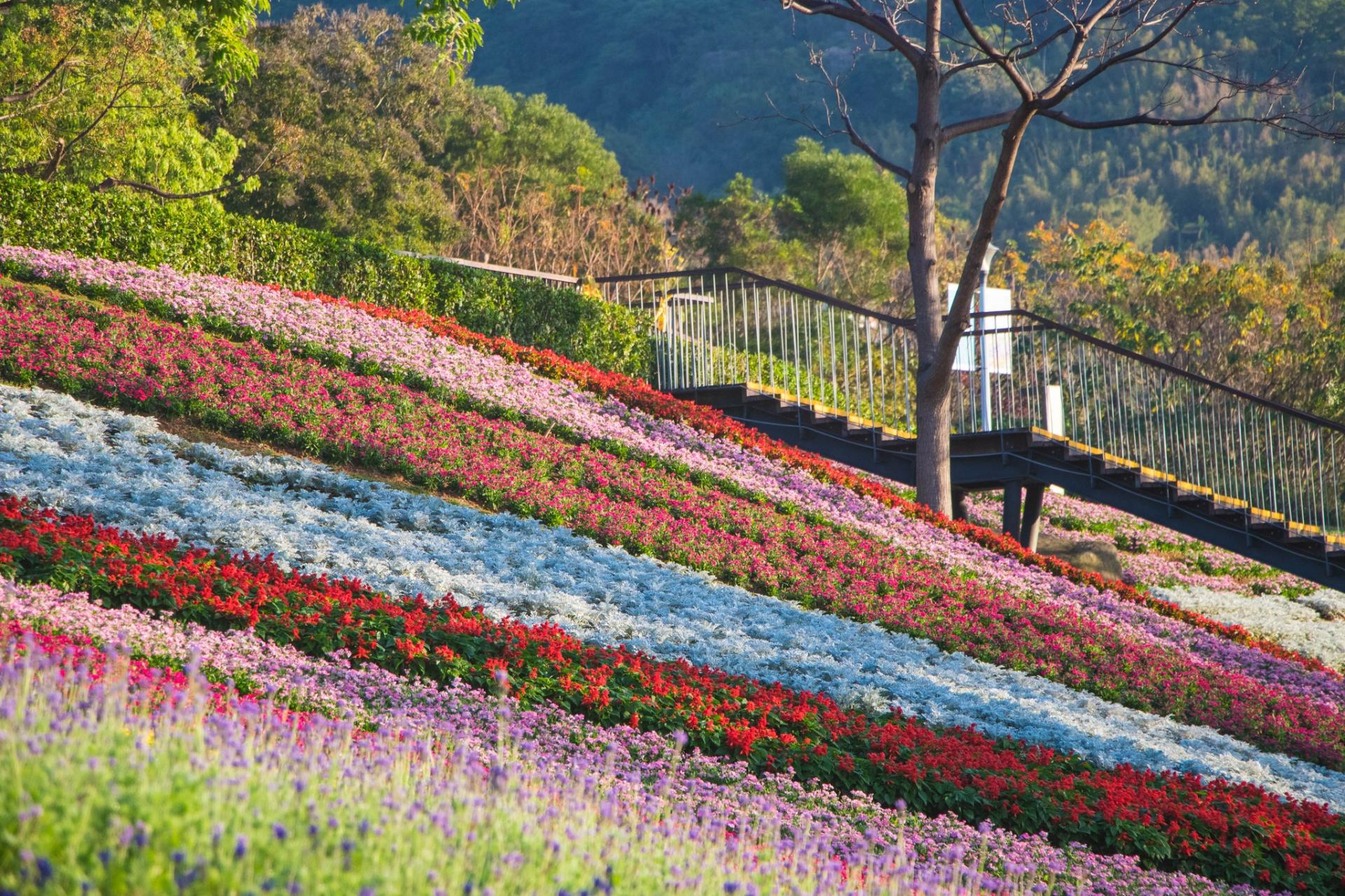 London Design Awards Winner - Flowers In Taipei