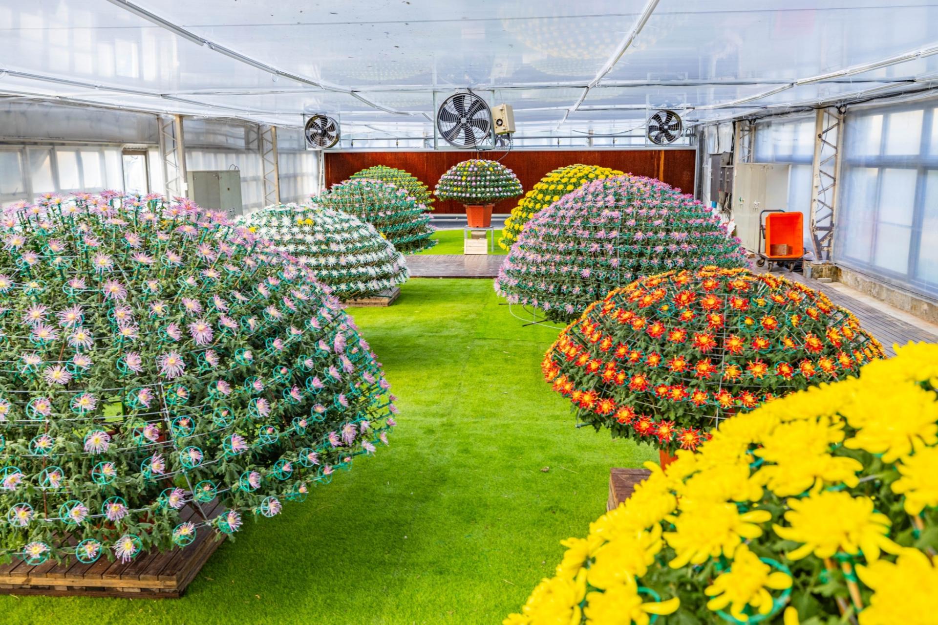 London Design Awards Winner - Flowers In Taipei