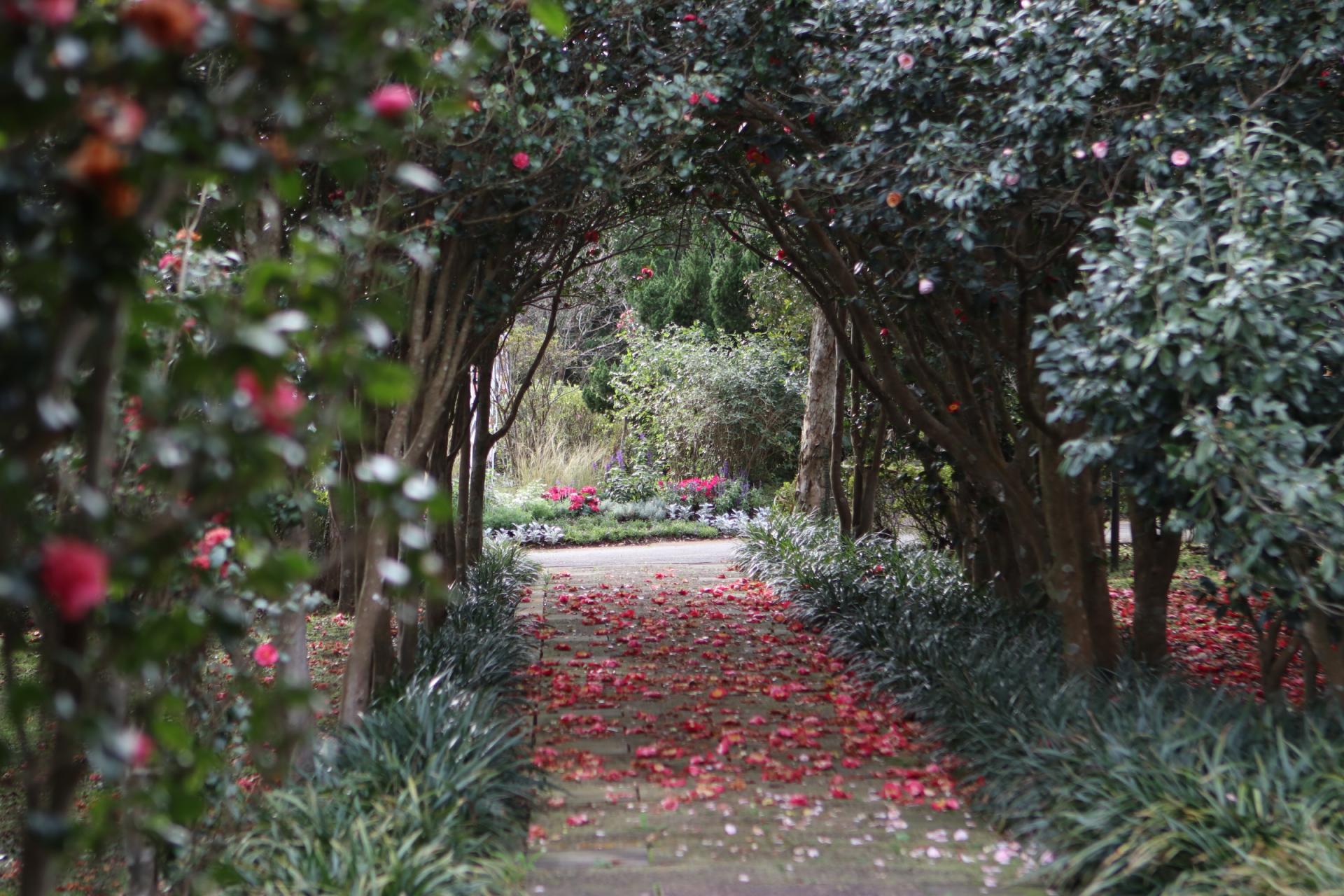 London Design Awards Winner - Flowers In Taipei