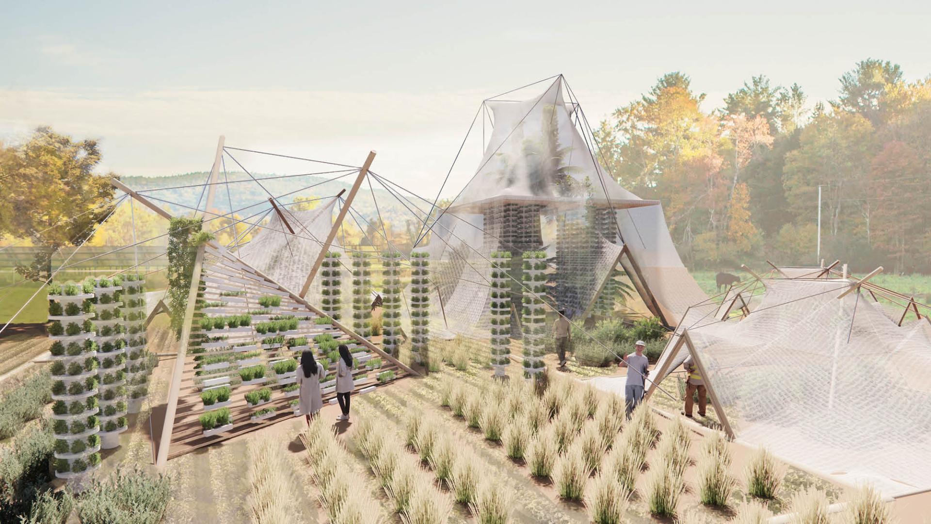 London Design Awards Winner - Lo-Fi. Agritecture 