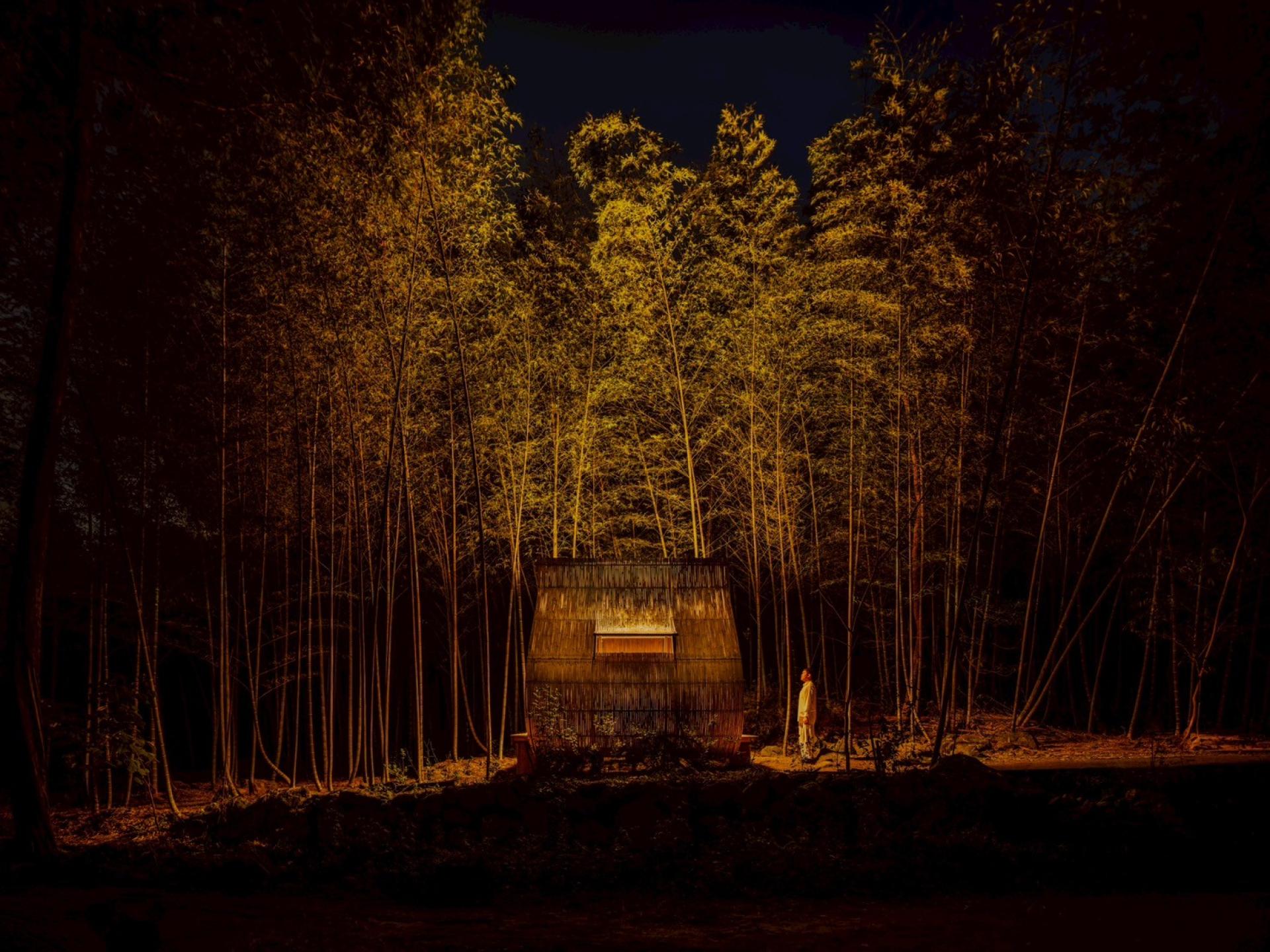 London Design Awards Winner - Six Senses & Nature: 2025 Nantou Bamboo Dream Festival